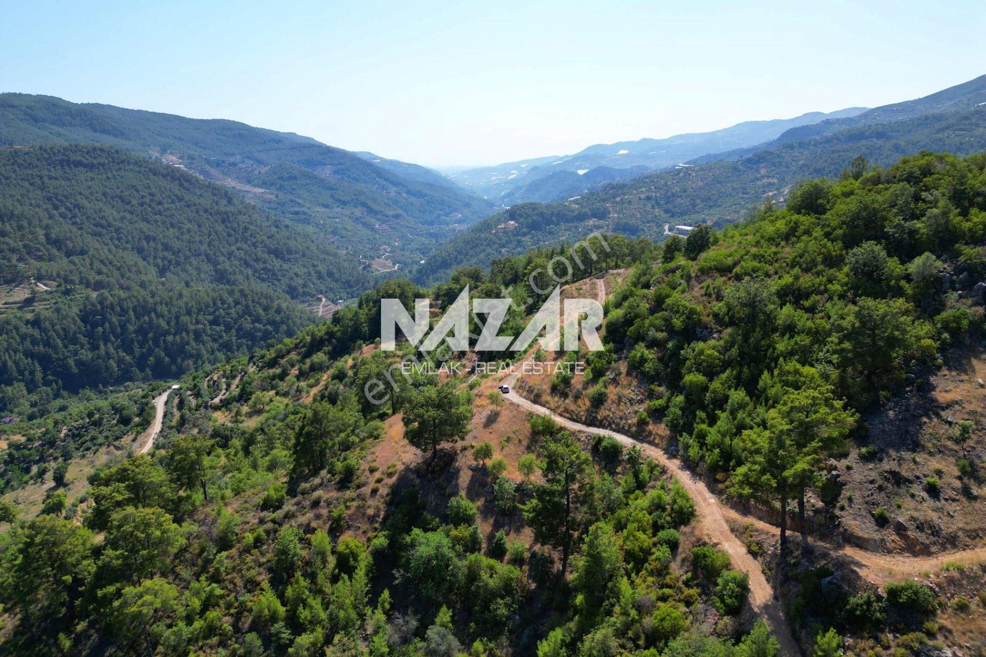 Alanya Gümüşgöze'de Satılık 10.000 M² Tarla - Görsel 13