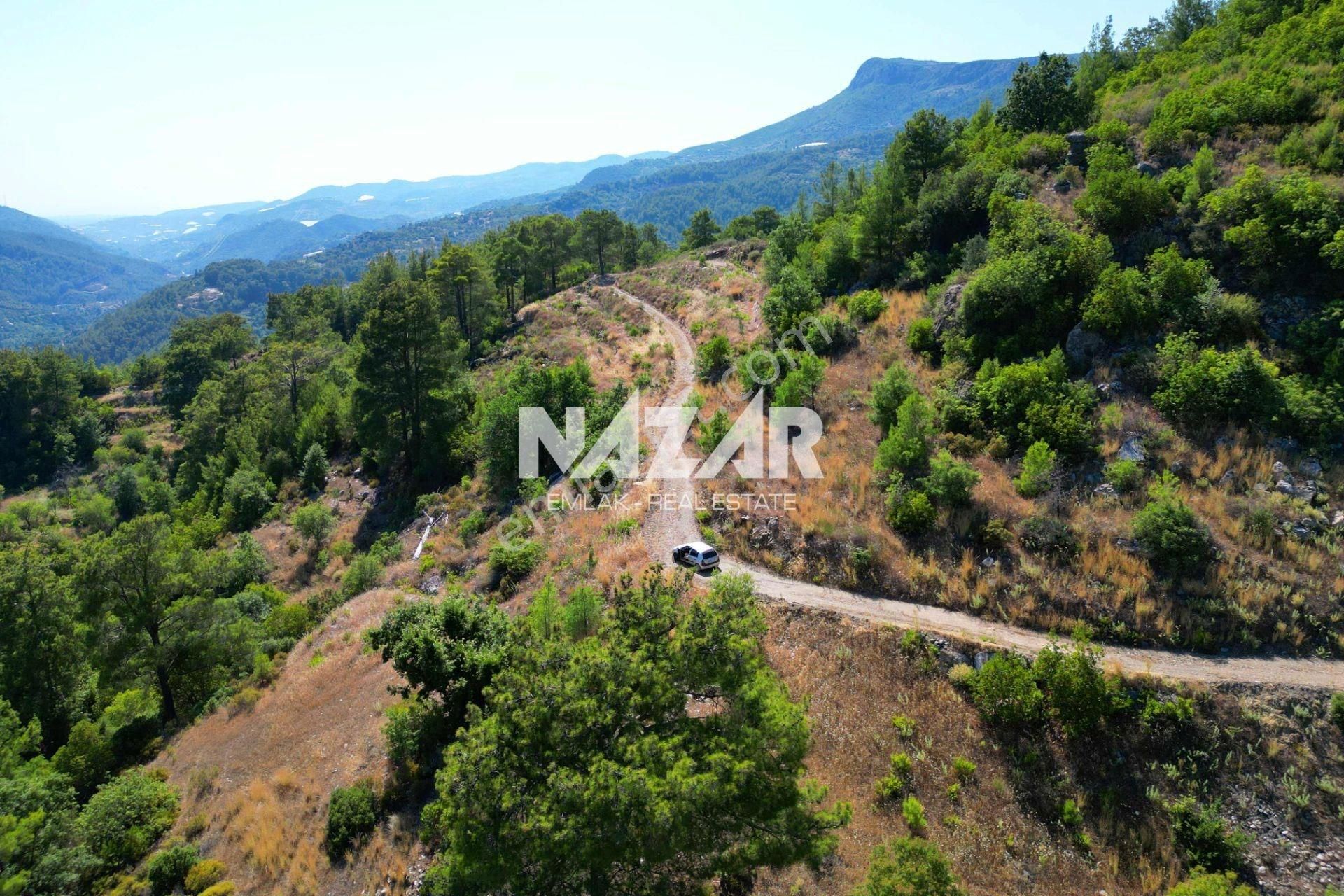 Alanya Gümüşgöze'de Satılık 10.000 M² Tarla - Görsel 16