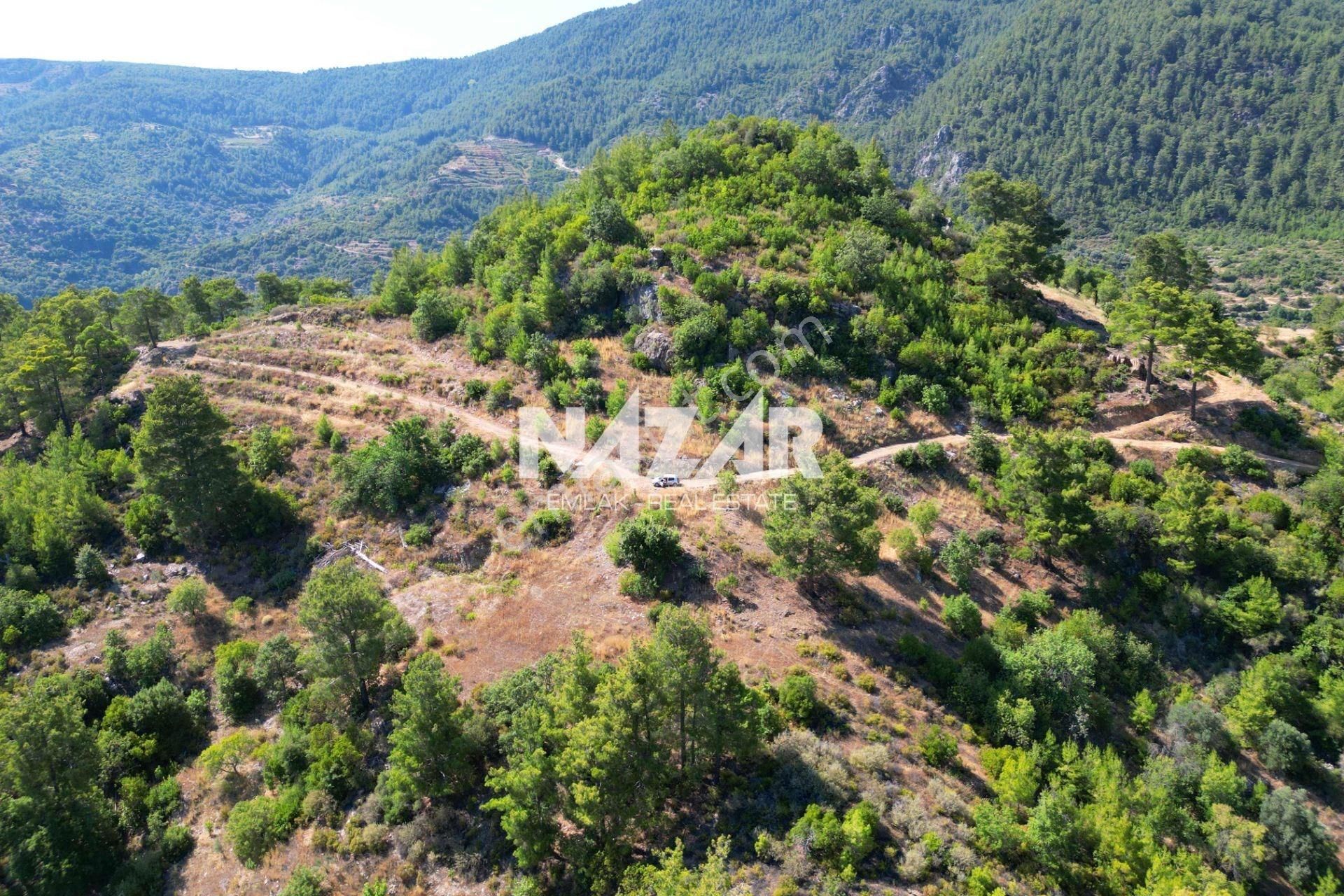 Alanya Gümüşgöze'de Satılık 10.000 M² Tarla - Görsel 9