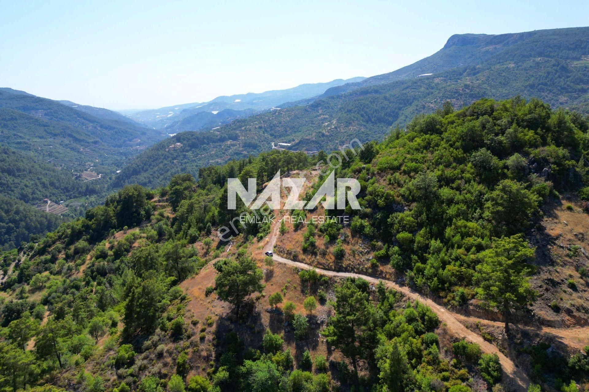 Alanya Gümüşgöze'de Satılık 10.000 M² Tarla - Görsel 10