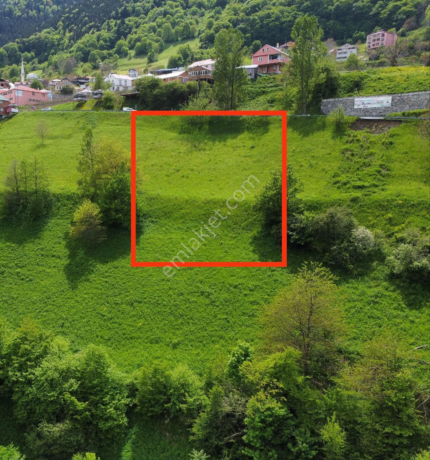 Trabzon Hamsiköy Villa İmarlı Arsa