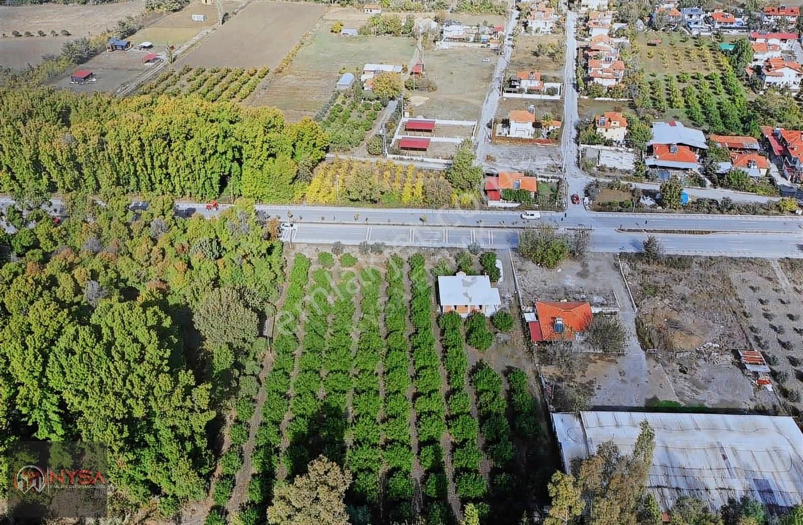 Nysa Emlak'tan Okçular Mh Satılık 2.250 M2 Rızai Taksımlı Tarla