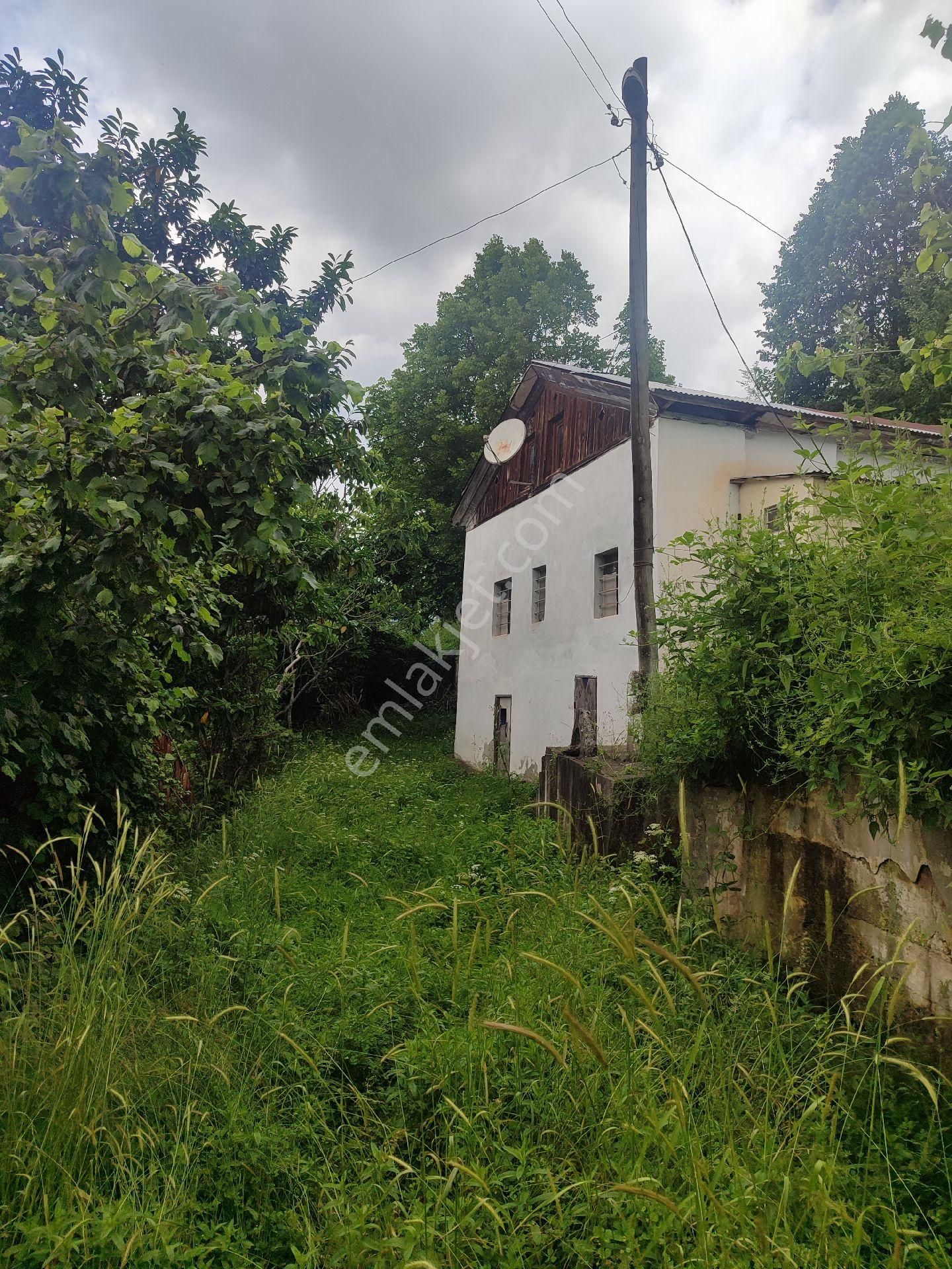 Sahibinden Maçka Yazlık (livera)'da Müstakil Ev , Fındık Bahçesi