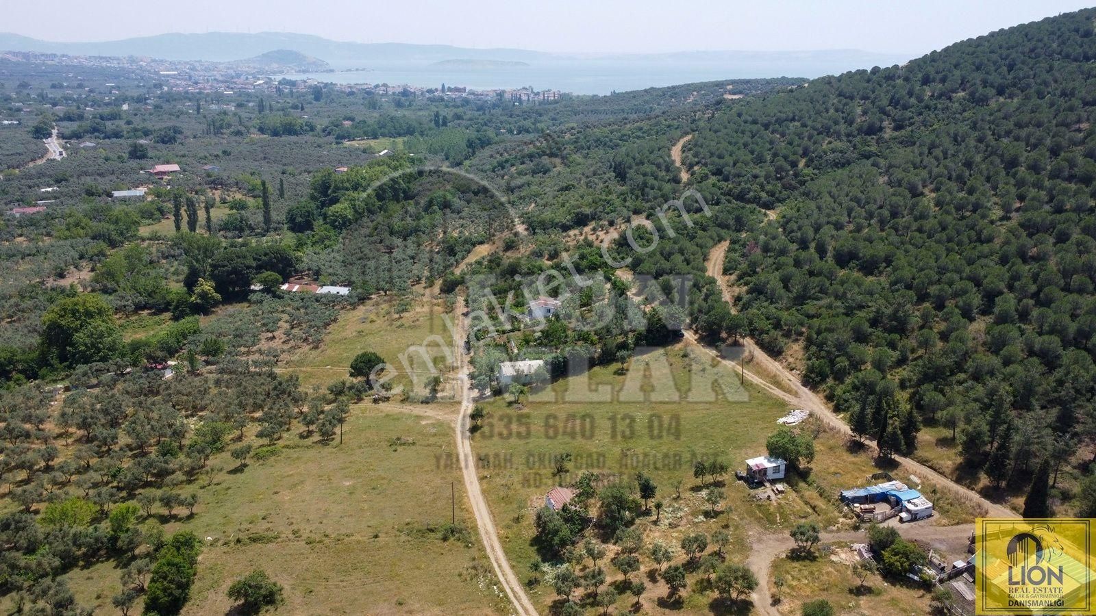 🟨⬛lıon Emlak'tan Erdek Ocaklar Mahallesi Ana Caddeye Yakın Satılık 3075m² Zeytinlik⬛🟨 - Görsel 14