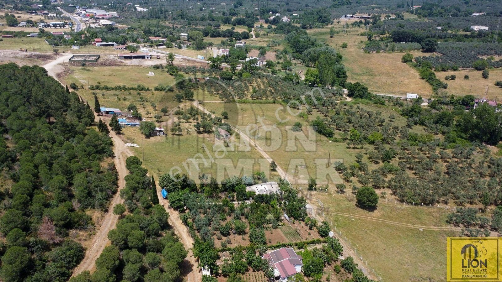🟨⬛lıon Emlak'tan Erdek Ocaklar Mahallesi Ana Caddeye Yakın Satılık 3075m² Zeytinlik⬛🟨 - Görsel 10