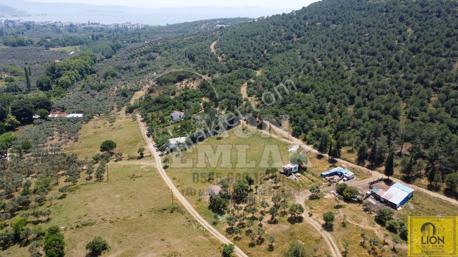 🟨⬛lıon Emlak'tan Erdek Ocaklar Mahallesi Ana Caddeye Yakın Satılık 3075m² Zeytinlik⬛🟨 - Görsel 17