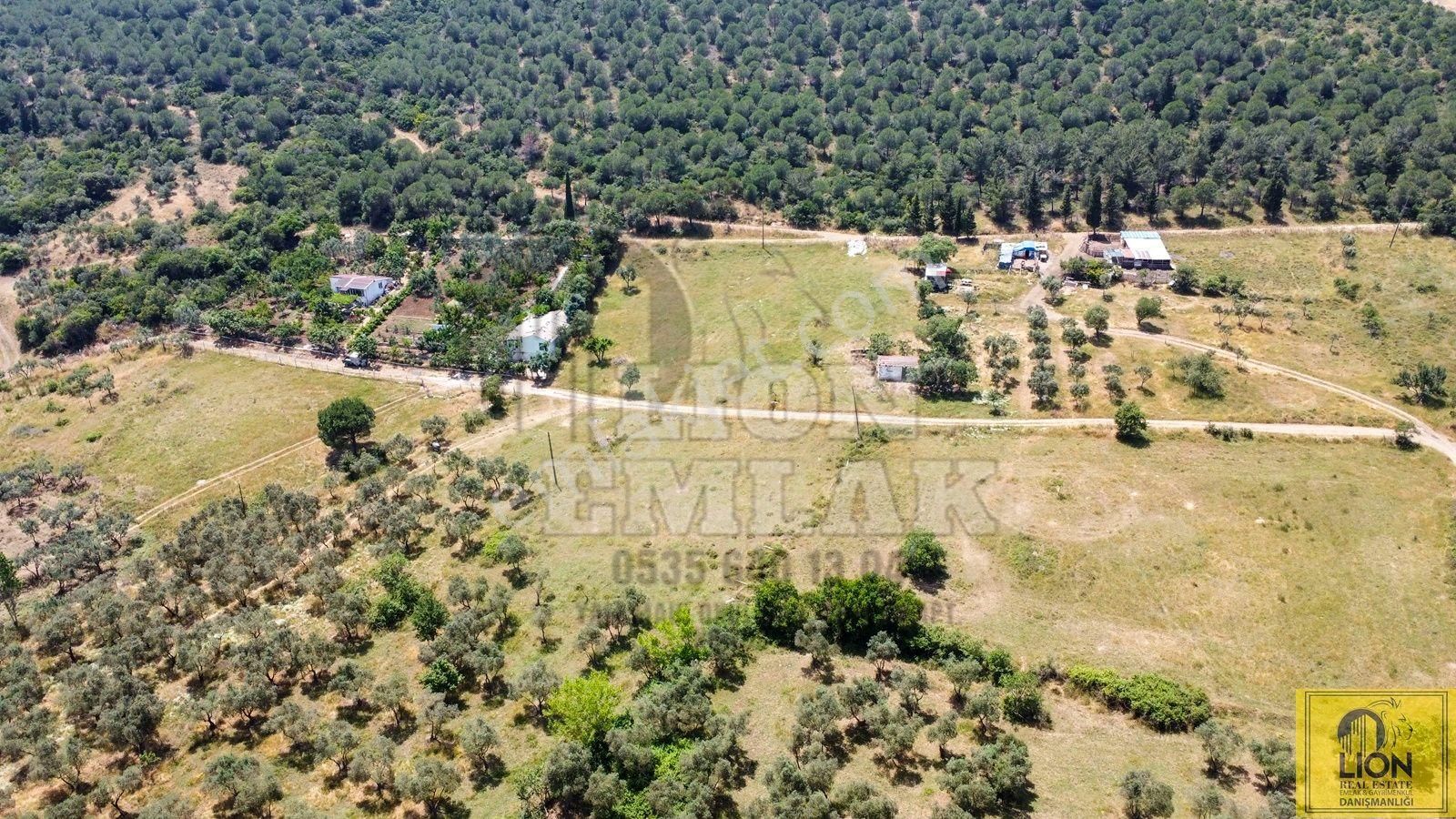 🟨⬛lıon Emlak'tan Erdek Ocaklar Mahallesi Ana Caddeye Yakın Satılık 3075m² Zeytinlik⬛🟨 - Görsel 4