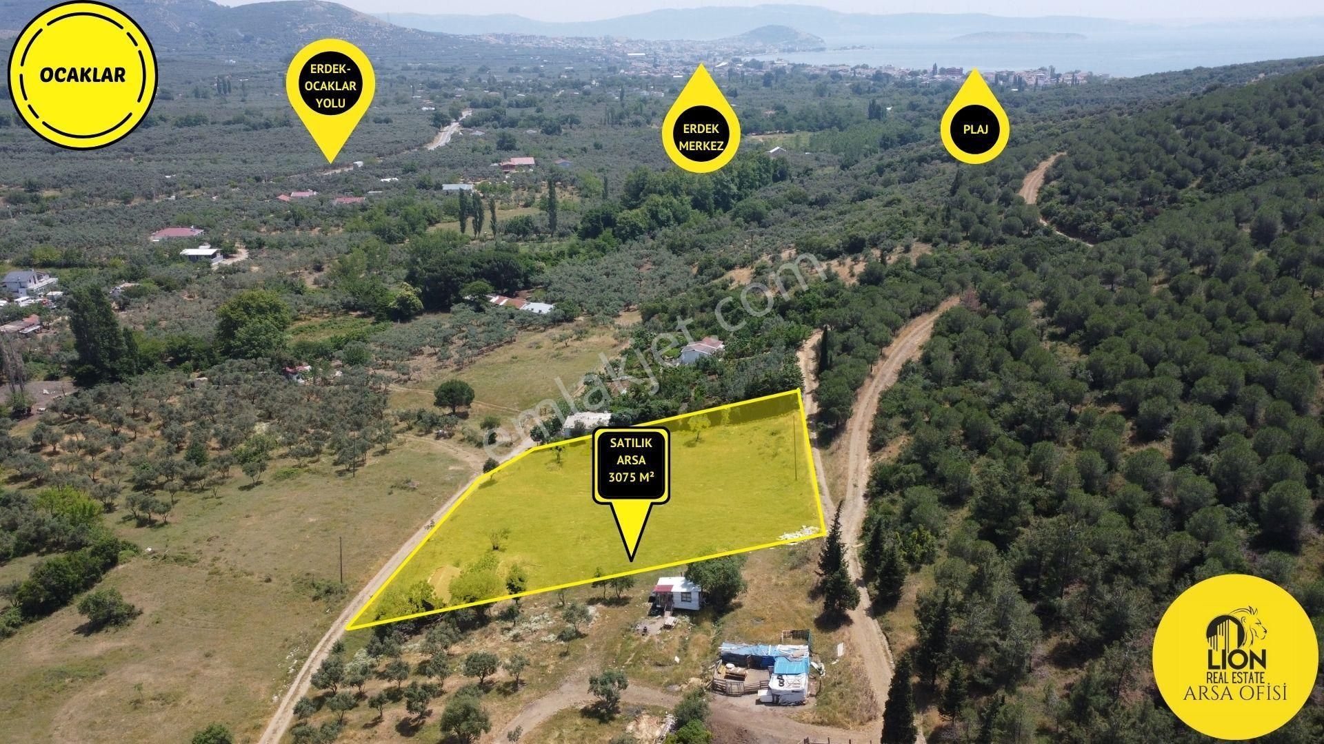 Erdek Ocaklar Mahallesi Ana Caddeye Yakın Satılık 3075m² Zeytinlik