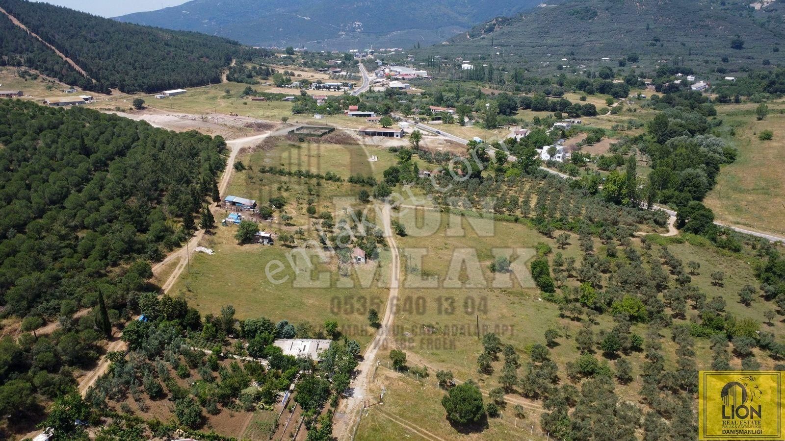 🟨⬛lıon Emlak'tan Erdek Ocaklar Mahallesi Ana Caddeye Yakın Satılık 3075m² Zeytinlik⬛🟨 - Görsel 8