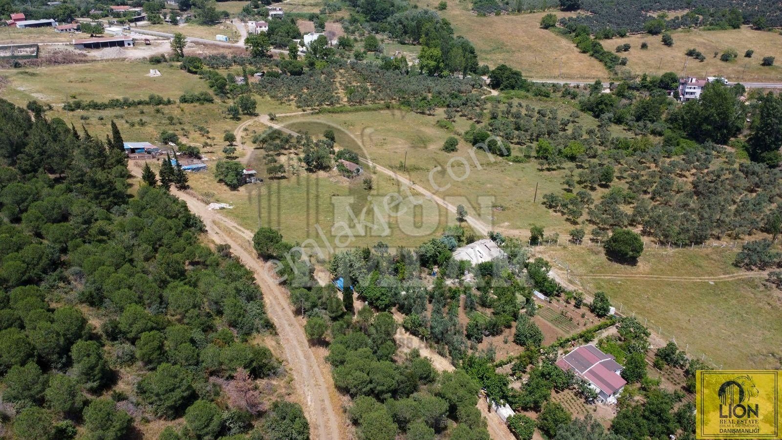 🟨⬛lıon Emlak'tan Erdek Ocaklar Mahallesi Ana Caddeye Yakın Satılık 3075m² Zeytinlik⬛🟨 - Görsel 11