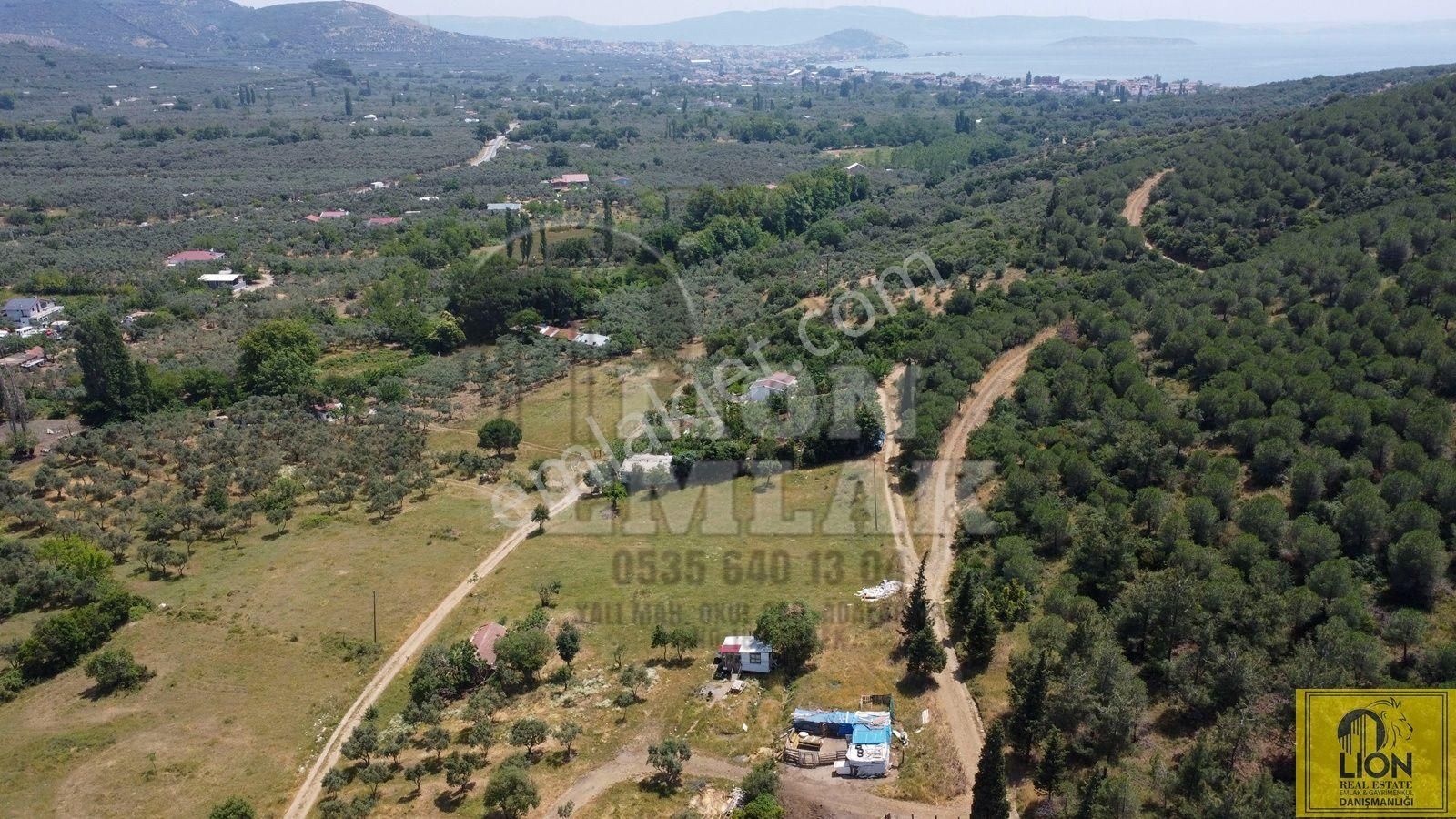 🟨⬛lıon Emlak'tan Erdek Ocaklar Mahallesi Ana Caddeye Yakın Satılık 3075m² Zeytinlik⬛🟨 - Görsel 12