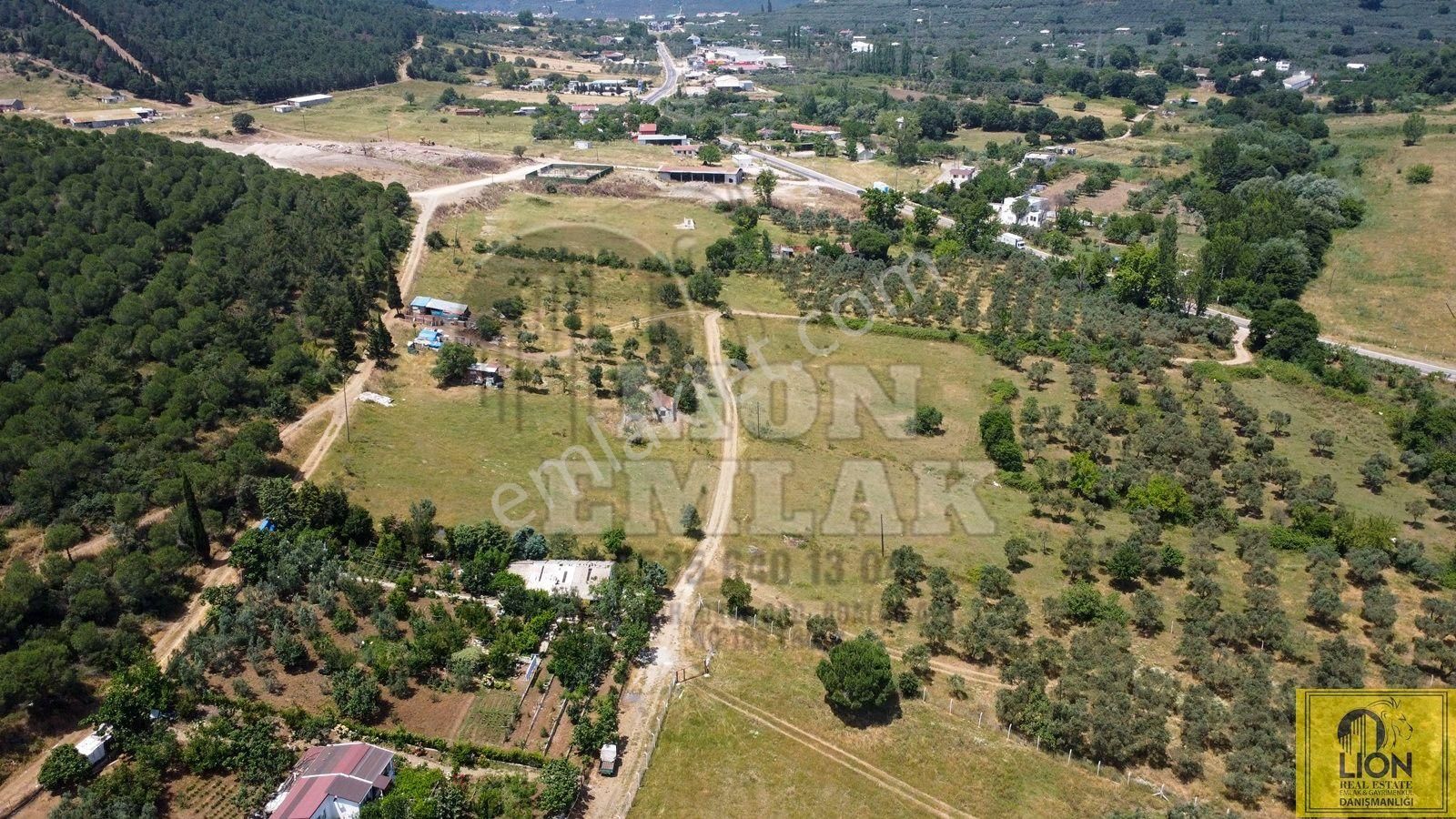 🟨⬛lıon Emlak'tan Erdek Ocaklar Mahallesi Ana Caddeye Yakın Satılık 3075m² Zeytinlik⬛🟨 - Görsel 9