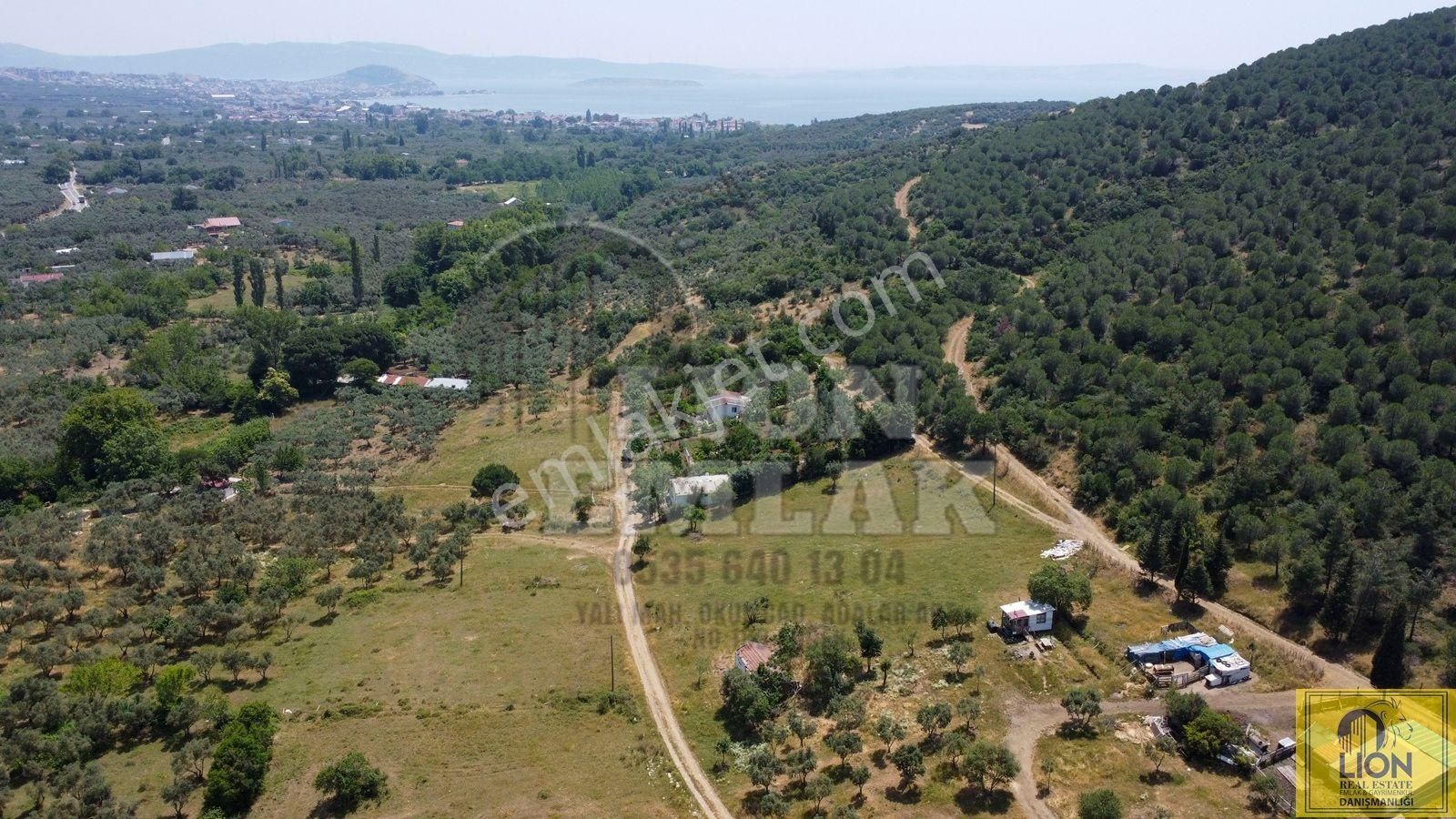 🟨⬛lıon Emlak'tan Erdek Ocaklar Mahallesi Ana Caddeye Yakın Satılık 3075m² Zeytinlik⬛🟨 - Görsel 15
