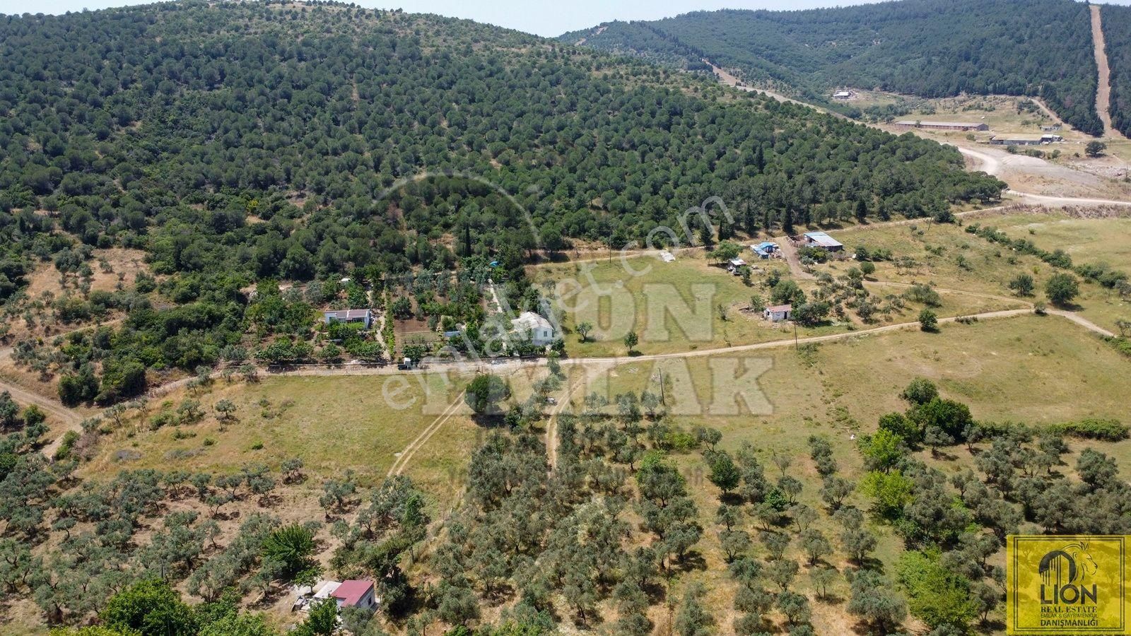 🟨⬛lıon Emlak'tan Erdek Ocaklar Mahallesi Ana Caddeye Yakın Satılık 3075m² Zeytinlik⬛🟨 - Görsel 3
