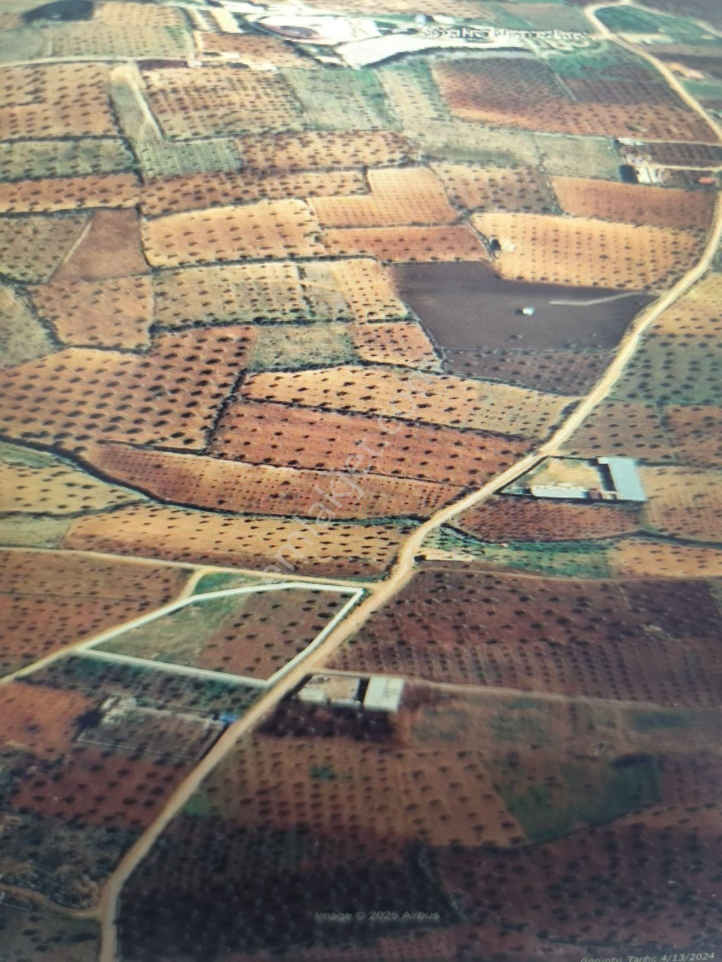 Ayyıldız Emlaktan 6.140 M2 Asvalt Yol Üzeri Zeytinlik