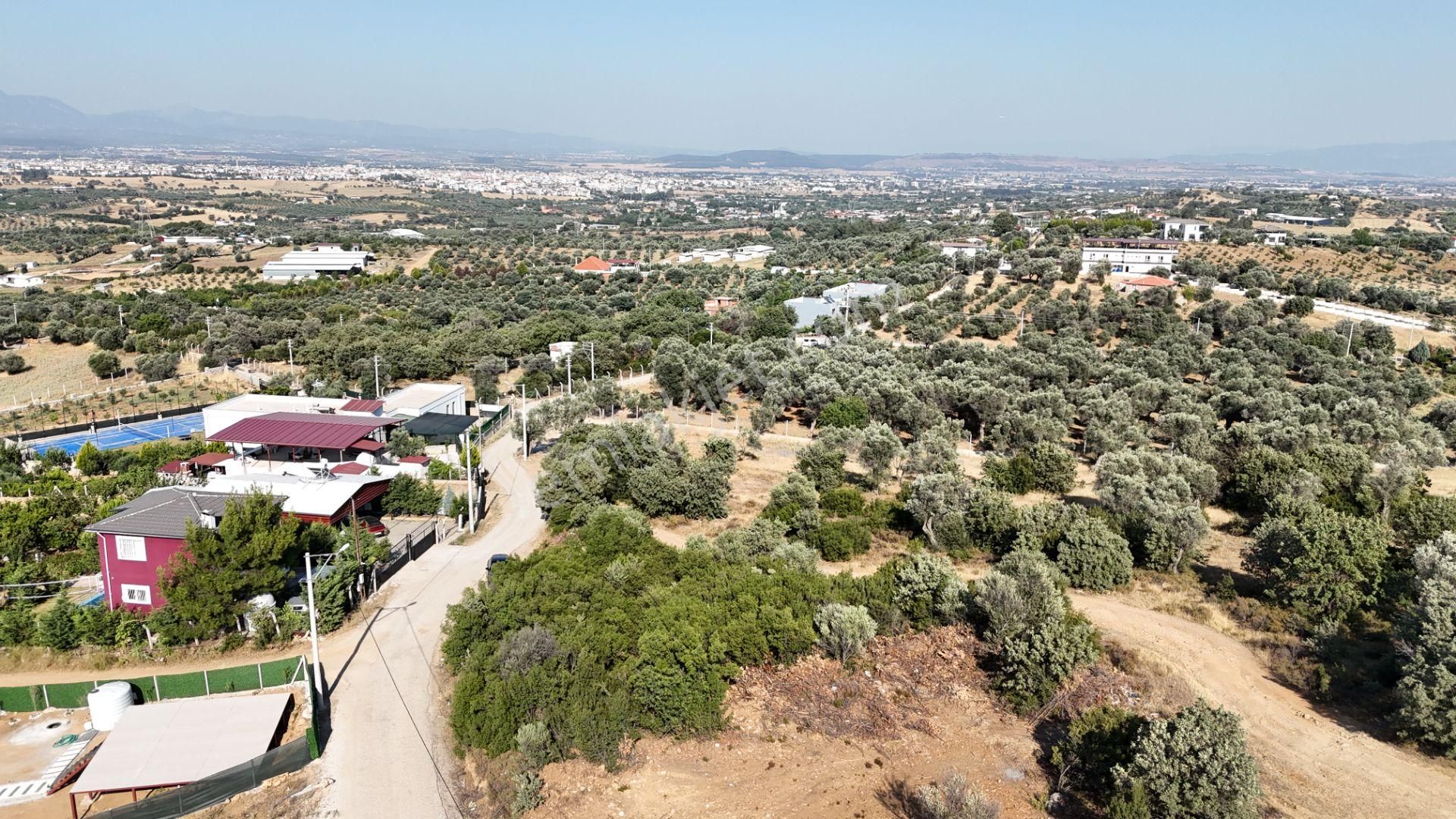 İzmir Akçaköyün En Güzel Manzaralı Yerinde Satılık 240 M2 Tapulu Bahçeler - Görsel 15