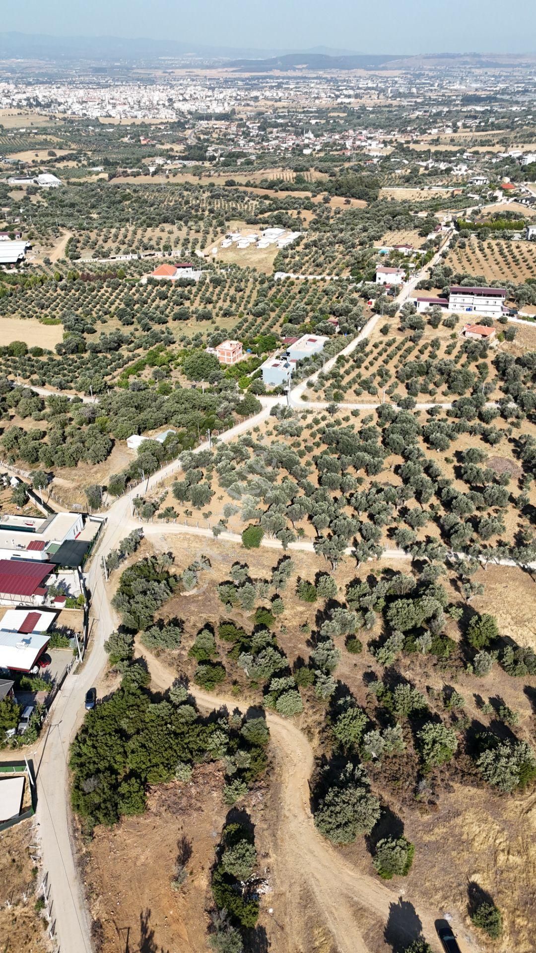 İzmir Akçaköyün En Güzel Manzaralı Yerinde Satılık 240 M2 Tapulu Bahçeler - Görsel 30