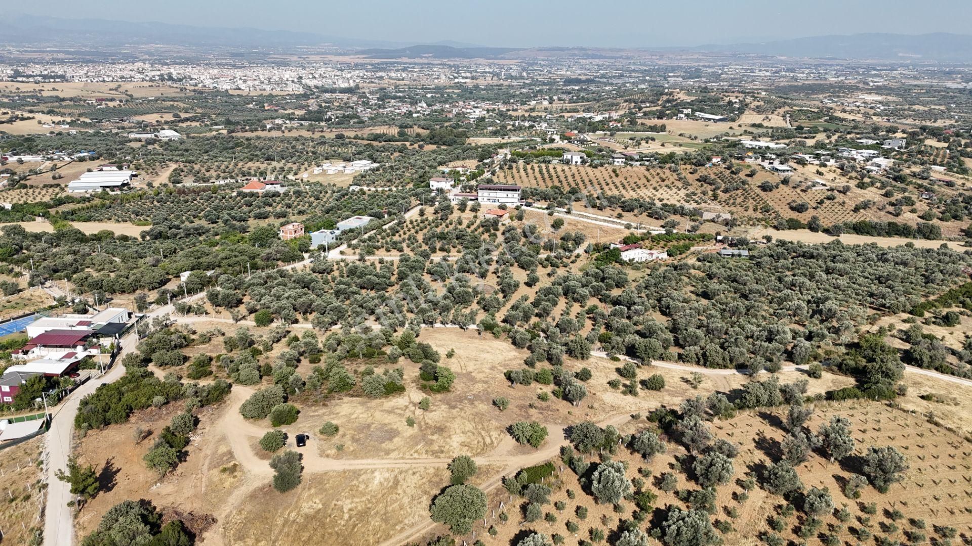 İzmir Akçaköyün En Güzel Manzaralı Yerinde Satılık 240 M2 Tapulu Bahçeler - Görsel 11