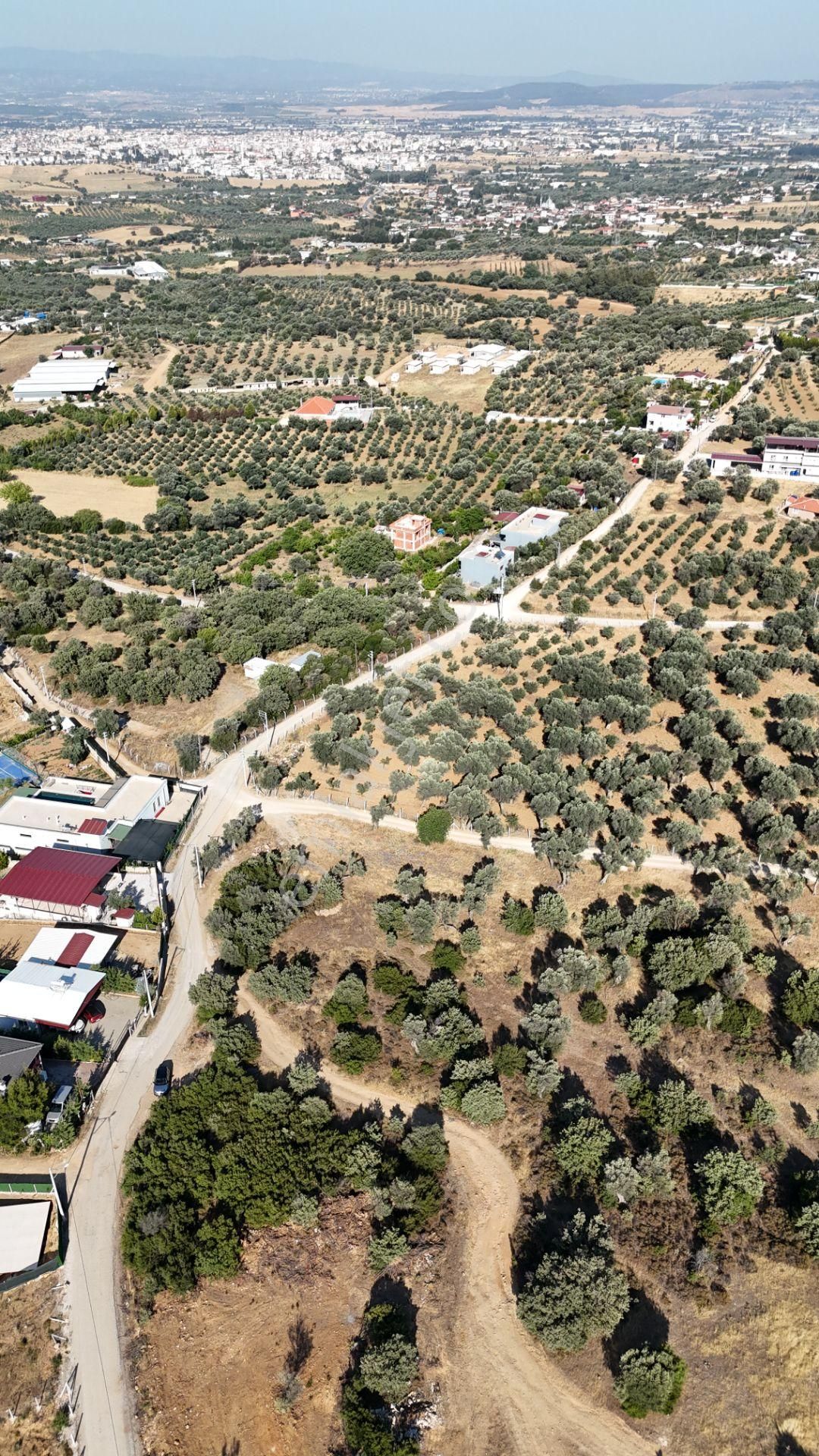 İzmir Akçaköyün En Güzel Manzaralı Yerinde Satılık 240 M2 Tapulu Bahçeler - Görsel 29