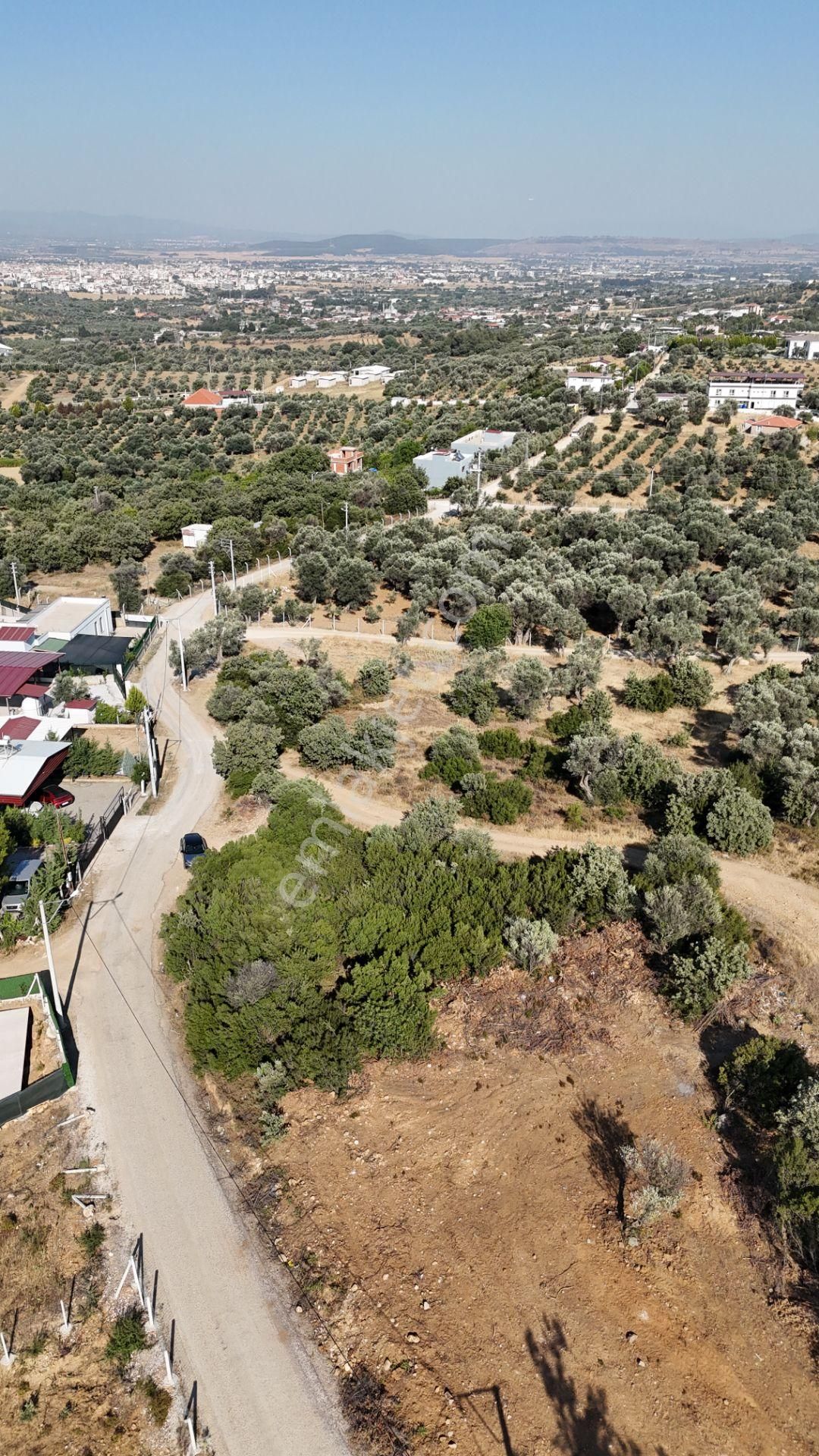 İzmir Akçaköyün En Güzel Manzaralı Yerinde Satılık 240 M2 Tapulu Bahçeler - Görsel 17