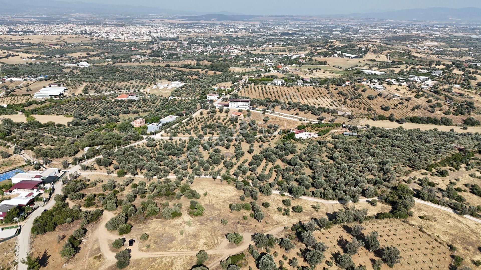 İzmir Akçaköyün En Güzel Manzaralı Yerinde Satılık 240 M2 Tapulu Bahçeler - Görsel 7