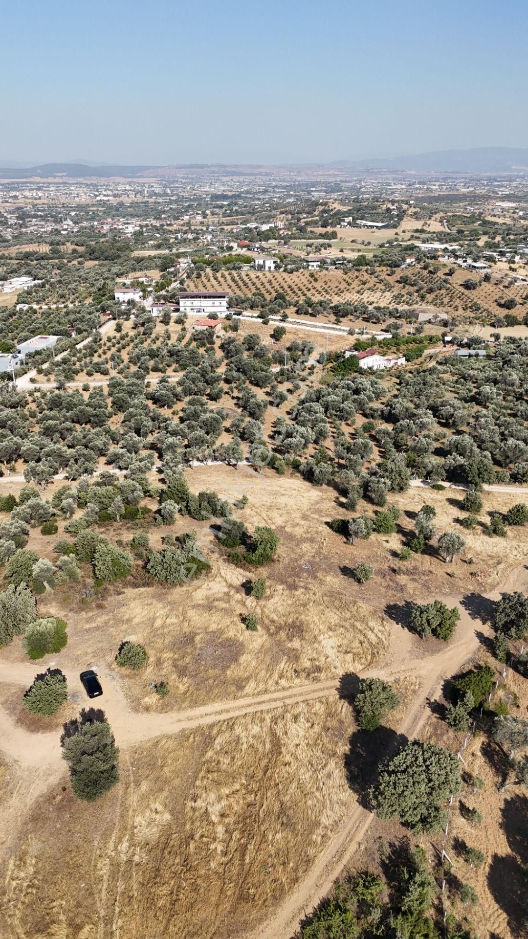 İzmir Akçaköyün En Güzel Manzaralı Yerinde Satılık 240 M2 Tapulu Bahçeler - Görsel 25