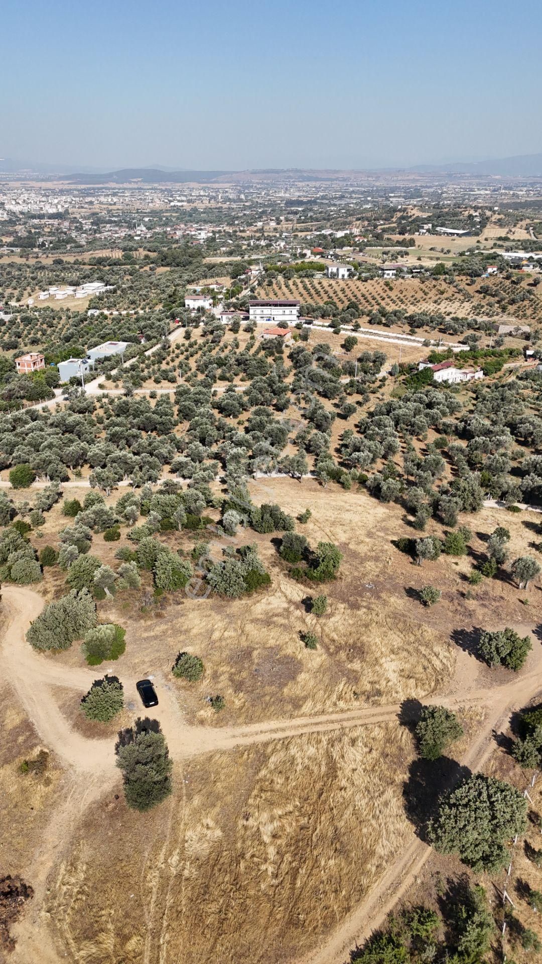 İzmir Akçaköyün En Güzel Manzaralı Yerinde Satılık 240 M2 Tapulu Bahçeler - Görsel 24