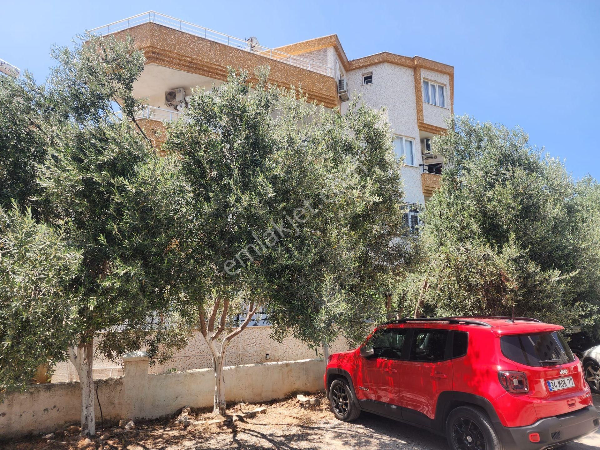 🏡 Altınkum – Esentepe Camisi Yakını – 2+1 Geniş Balkonlu Daire
