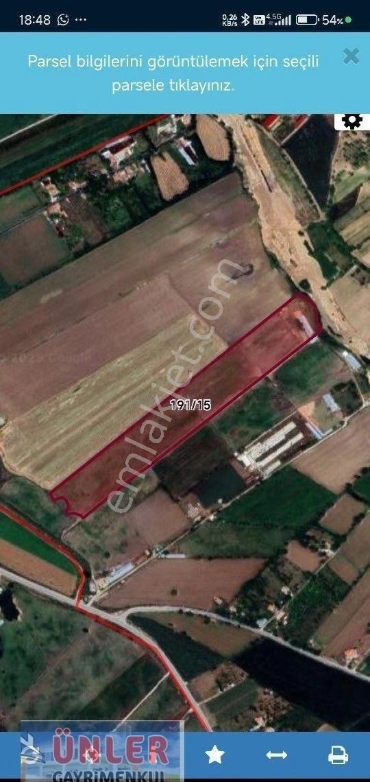Gökçeyazıda 52 Dönüm Besi Çiftliği Ve Müştemilatı