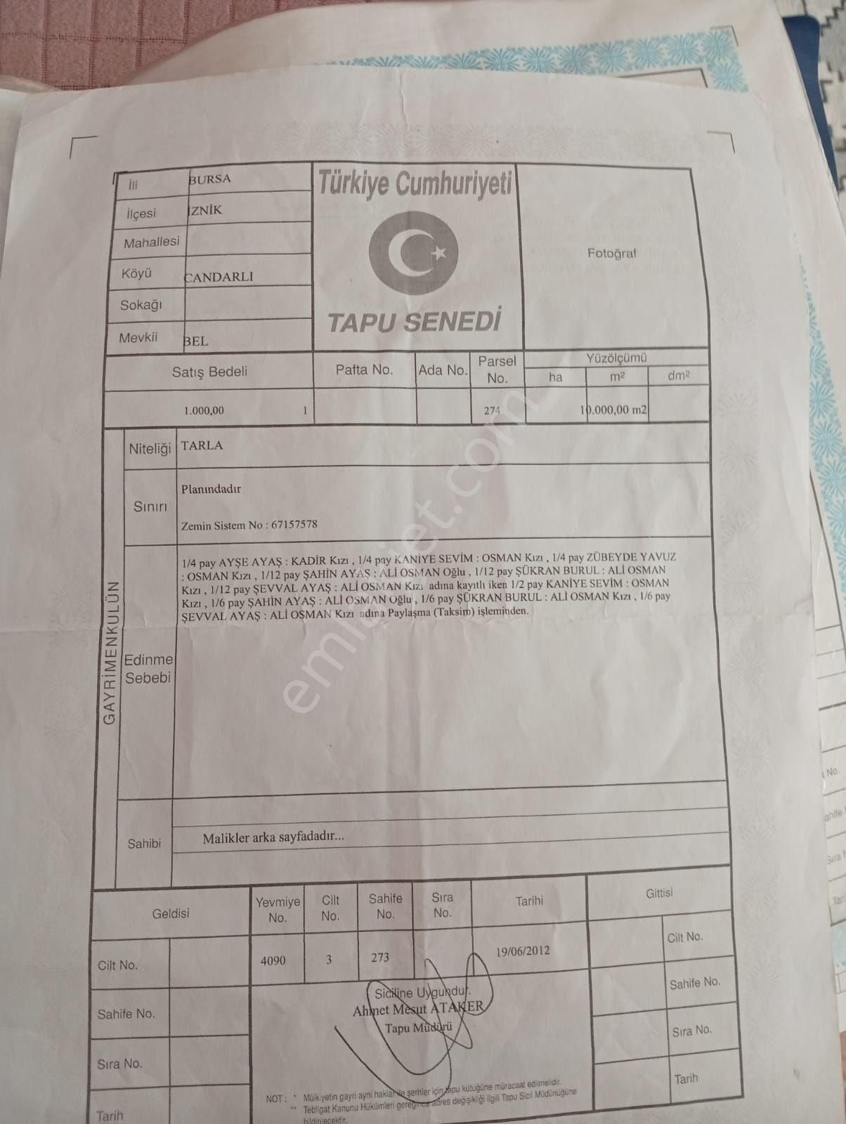 İznik Candarlı Mahallesi'nde Satılık Tarla