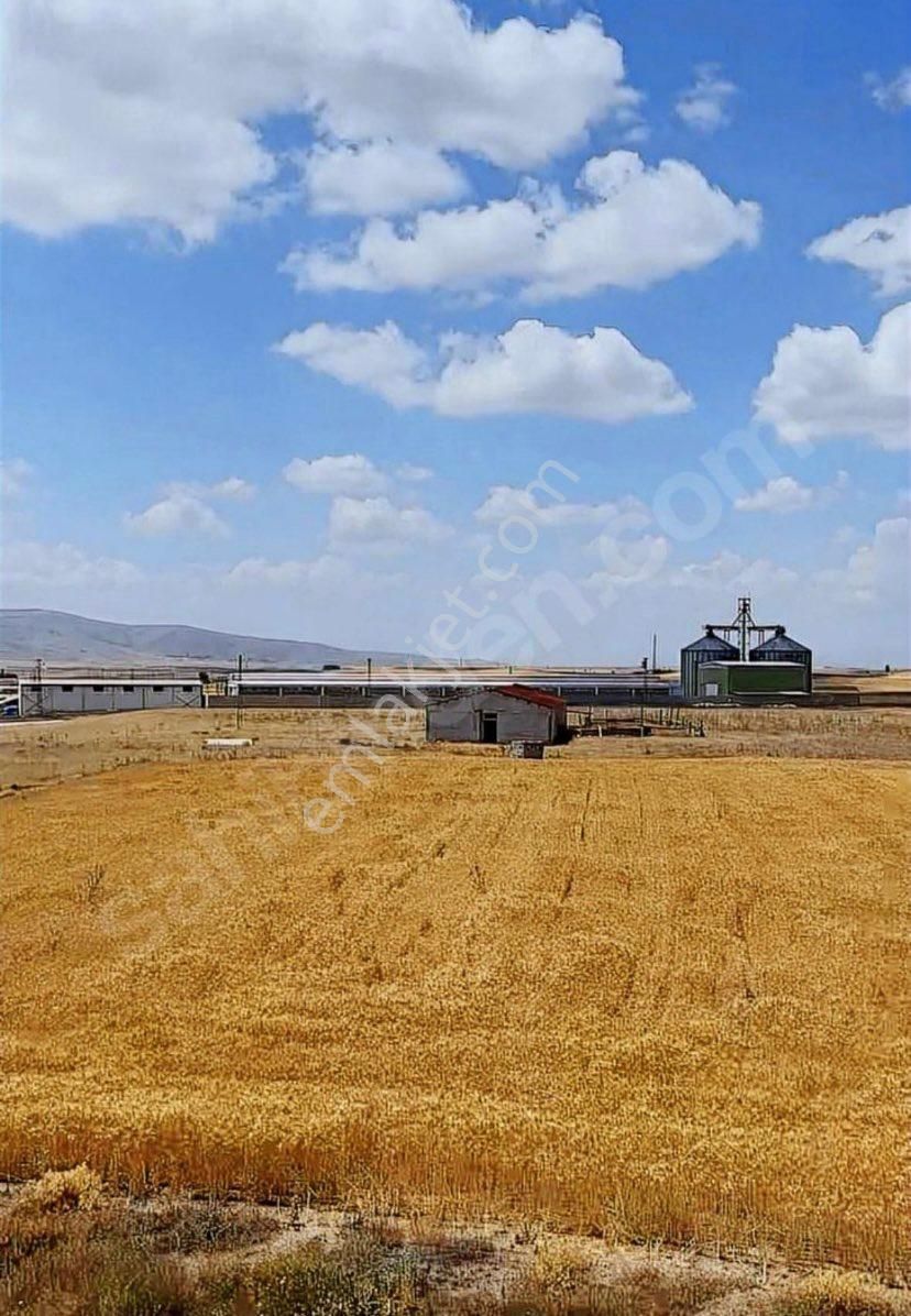 Bünyan Köprübaşında Satılık Tarla İmar İçi