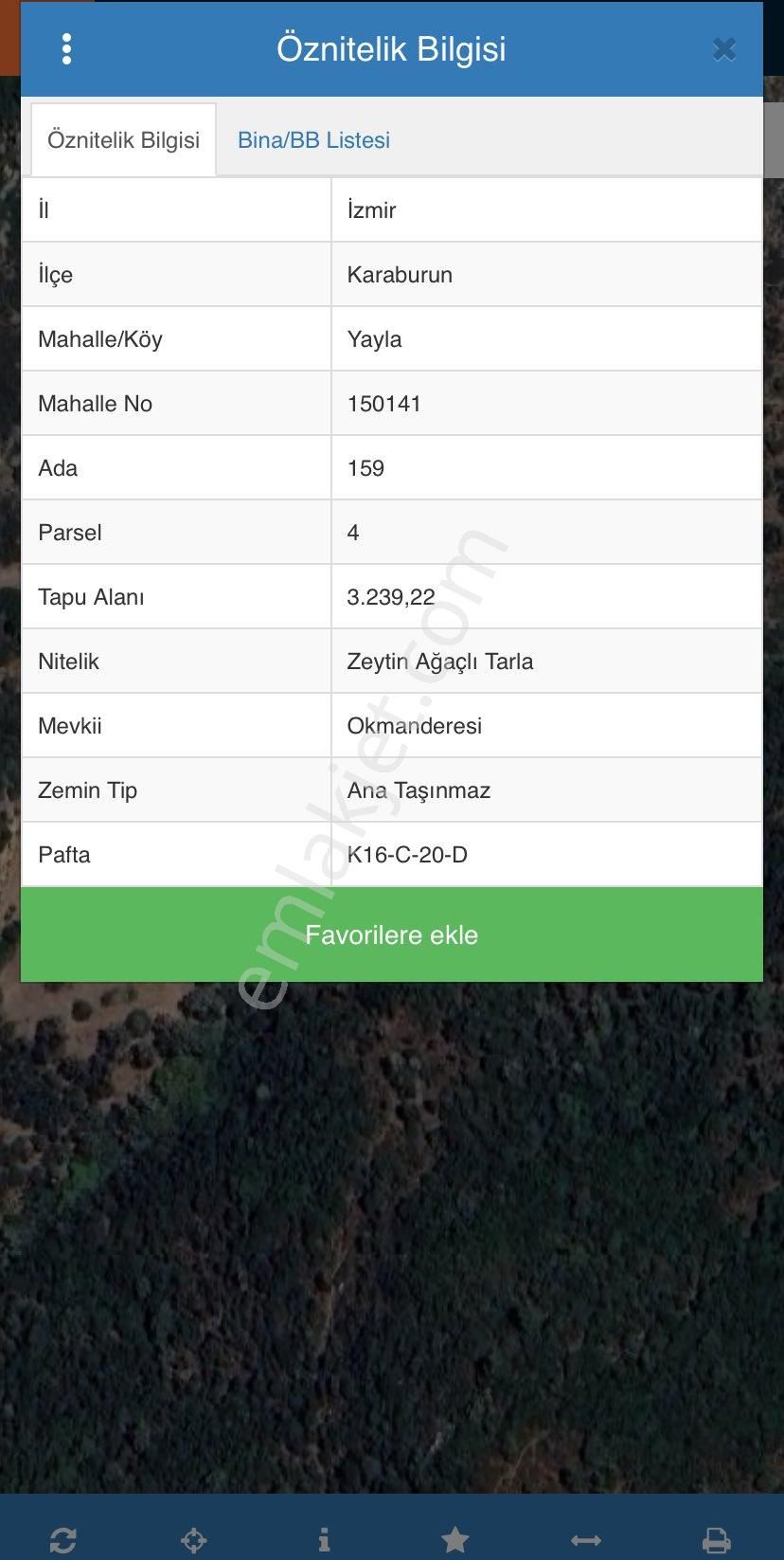 İzmir Karaburun Yaylaköy’de Satılık Zeytin Ağaçlı Tarla - Görsel 5