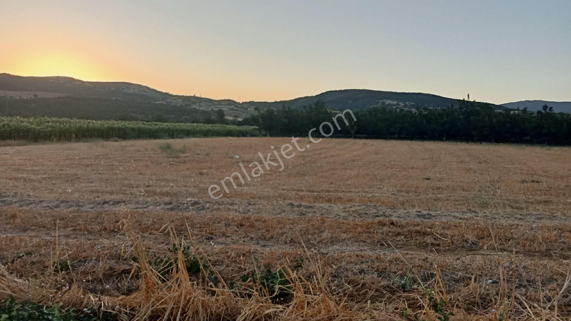 Koyunhisar -hamidiye- Satılık Arazi - Görsel 19