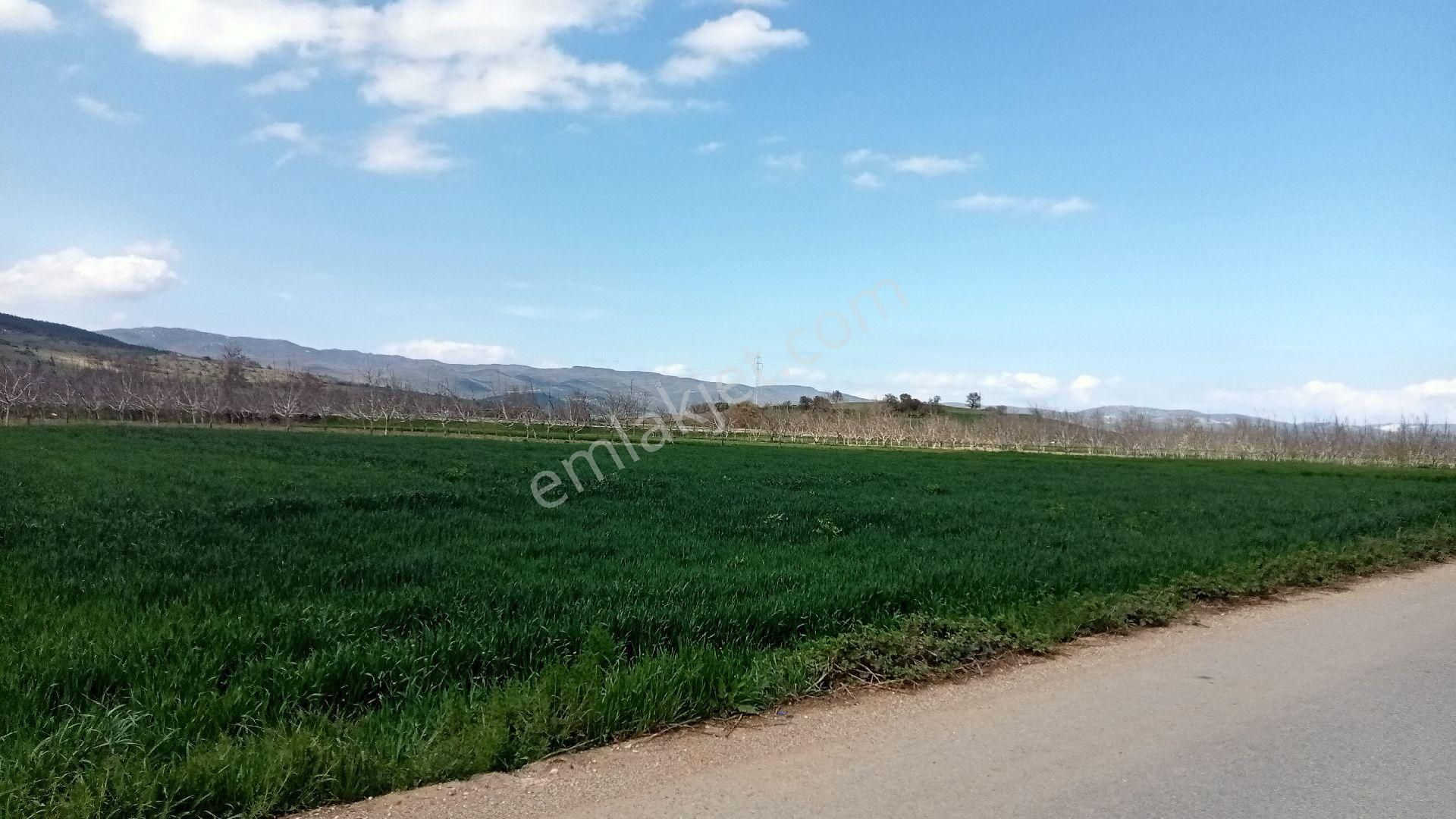 Koyunhisar -hamidiye- Satılık Arazi - Görsel 11