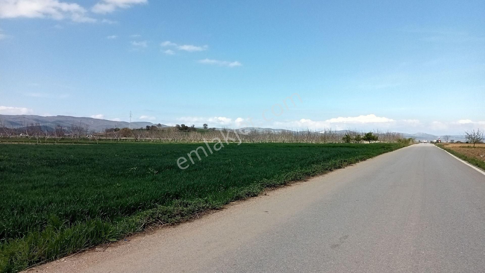 Koyunhisar -hamidiye- Satılık Arazi