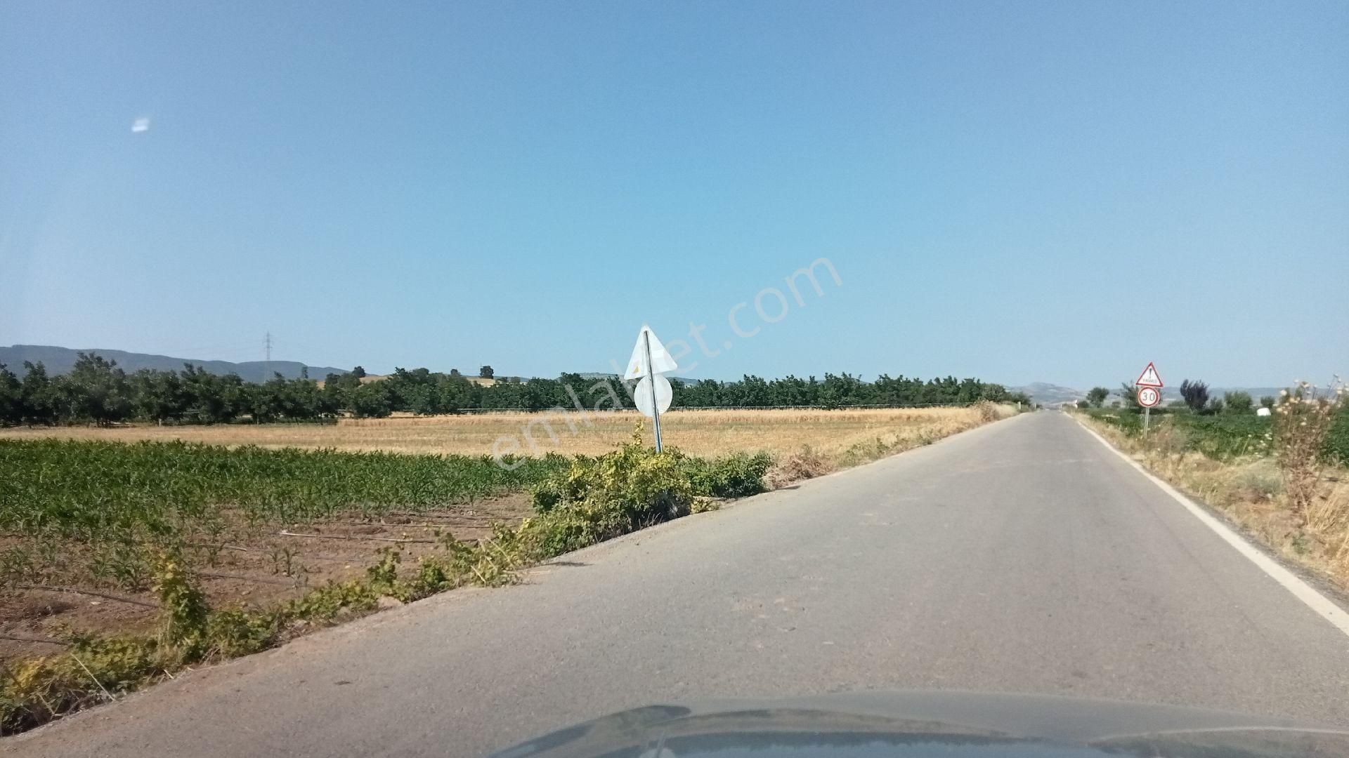 Koyunhisar -hamidiye- Satılık Arazi - Görsel 8