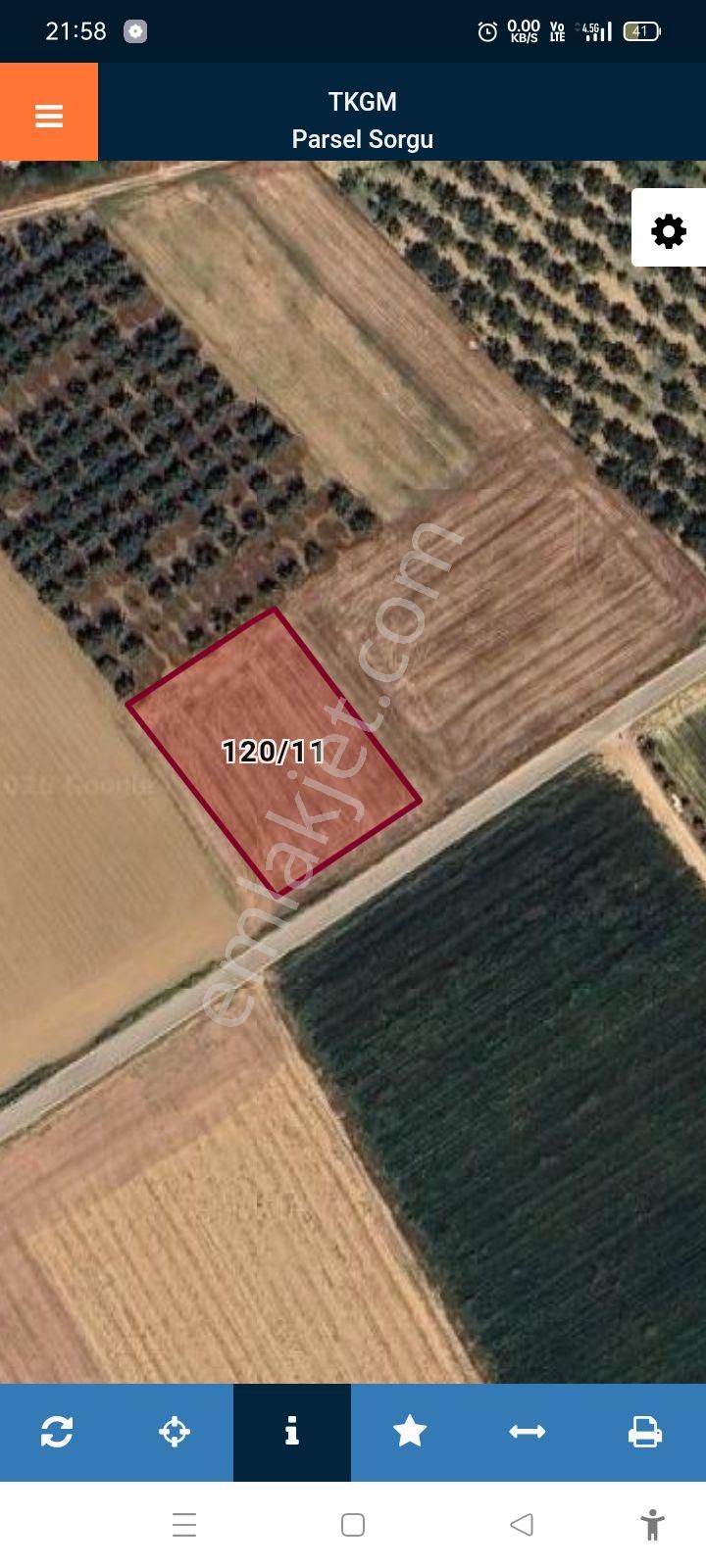 Koyunhisar -hamidiye- Satılık Arazi - Görsel 4