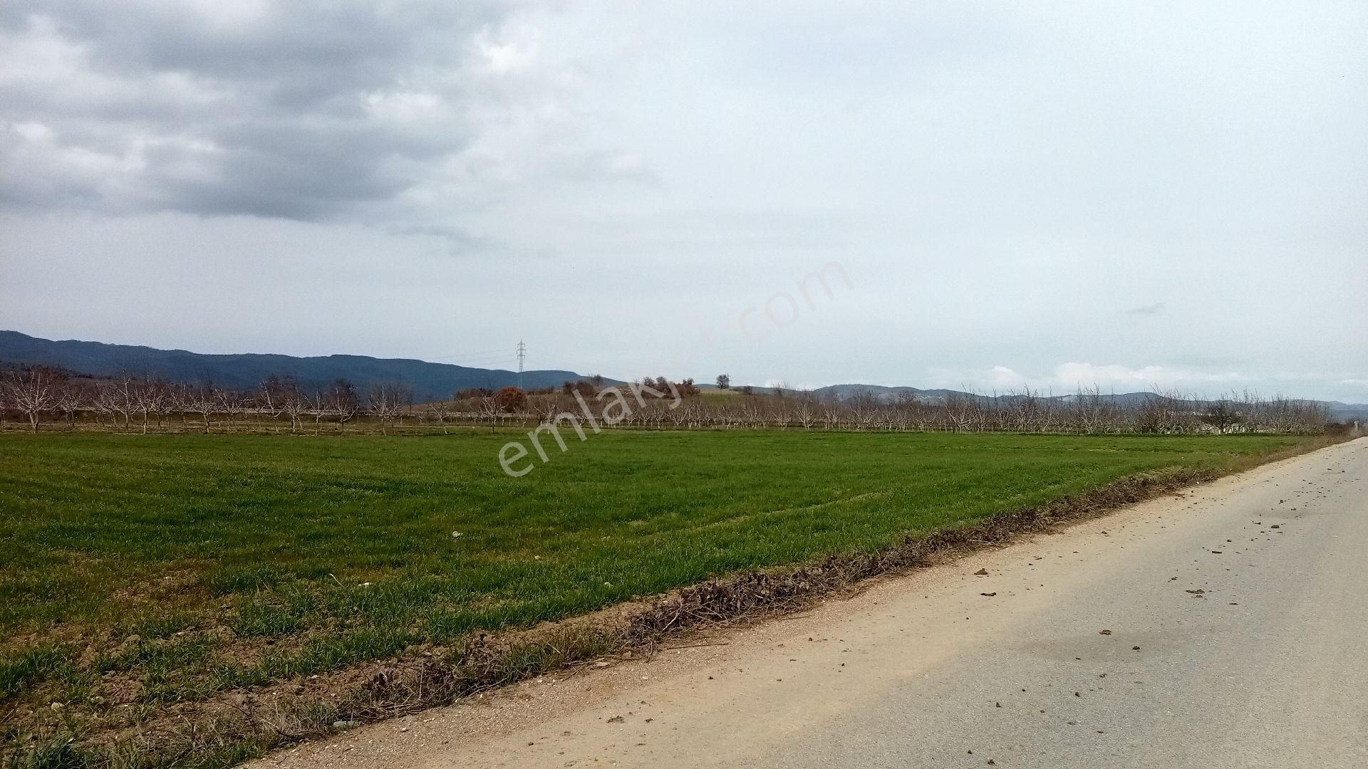 Koyunhisar -hamidiye- Satılık Arazi - Görsel 18