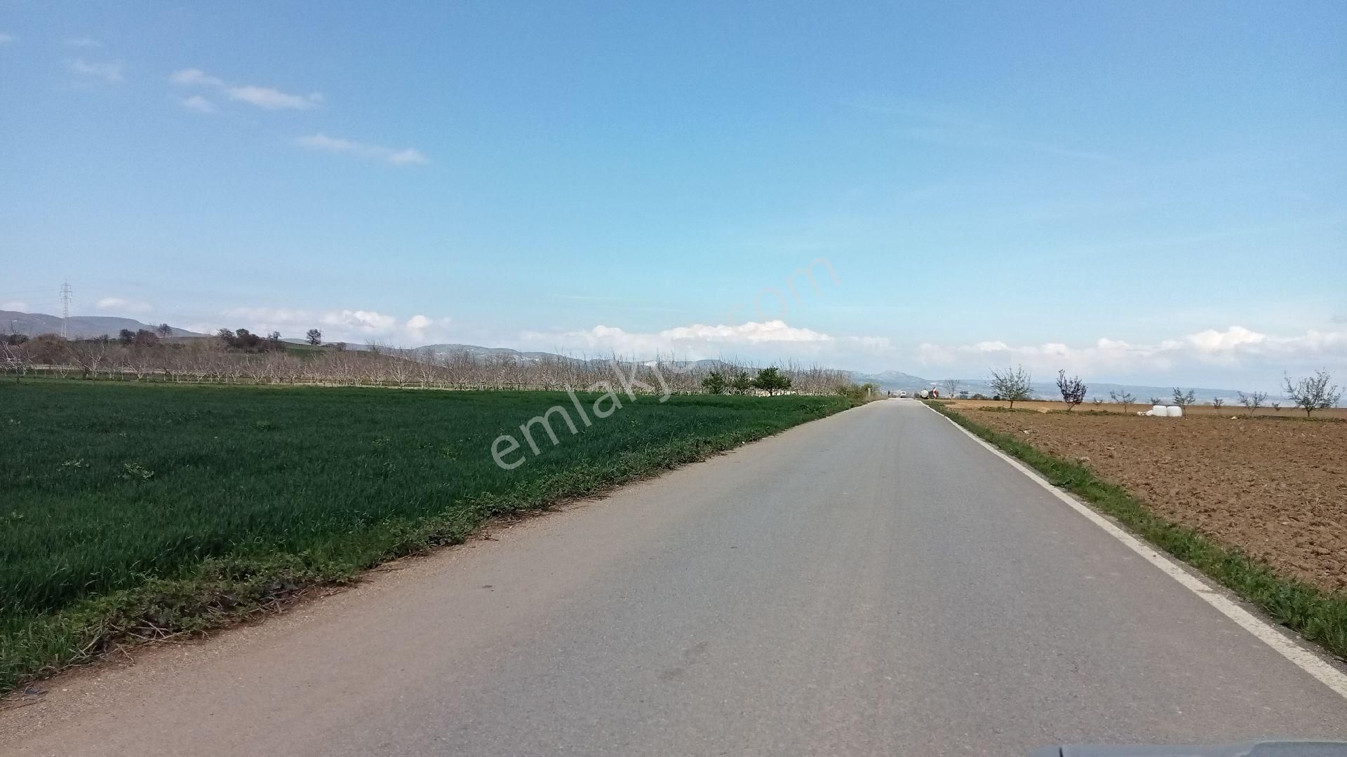 Koyunhisar -hamidiye- Satılık Arazi - Görsel 12