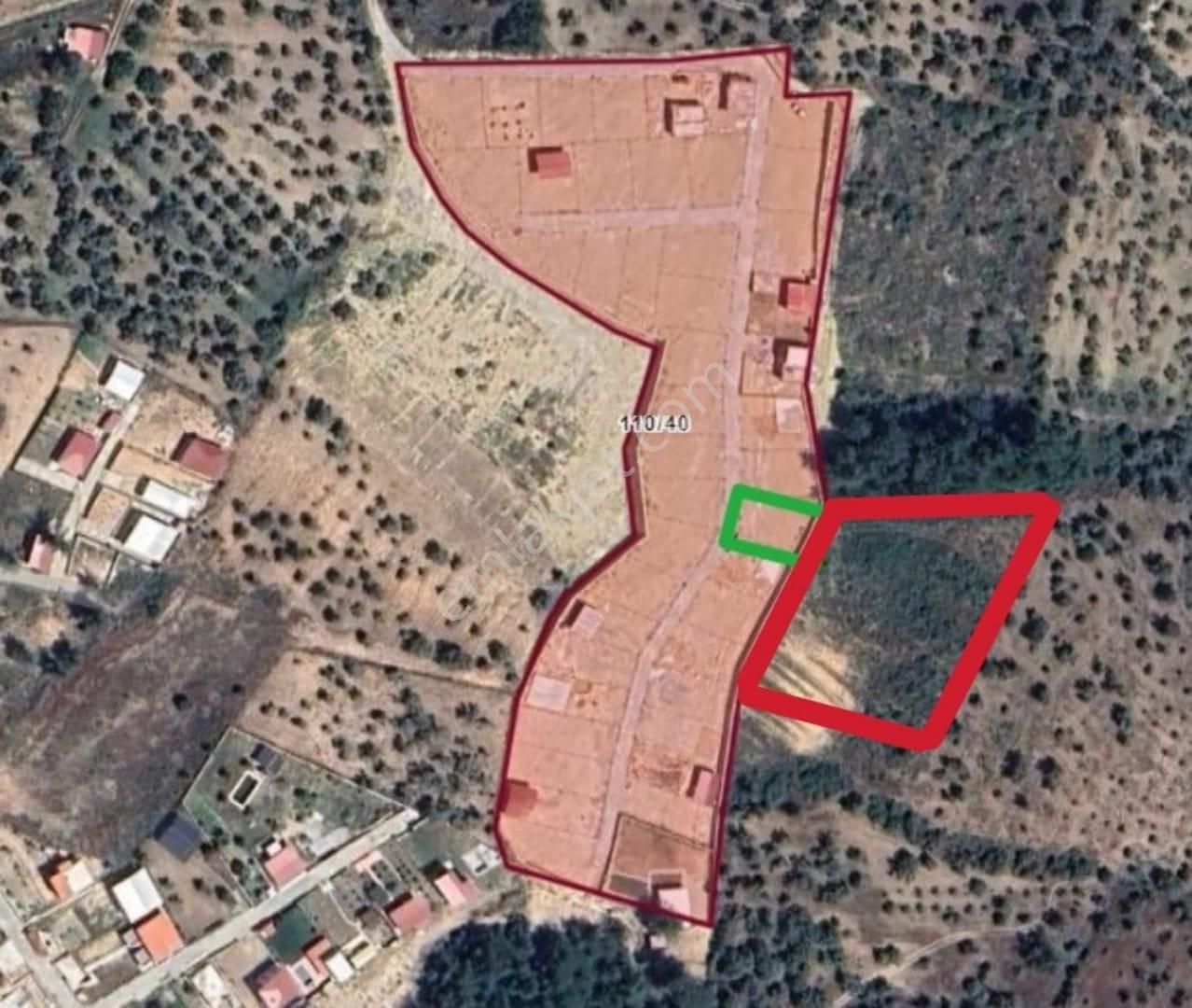 Torbalı Demirci Köyünde Satılık 2.332 M² Zeytinlik
