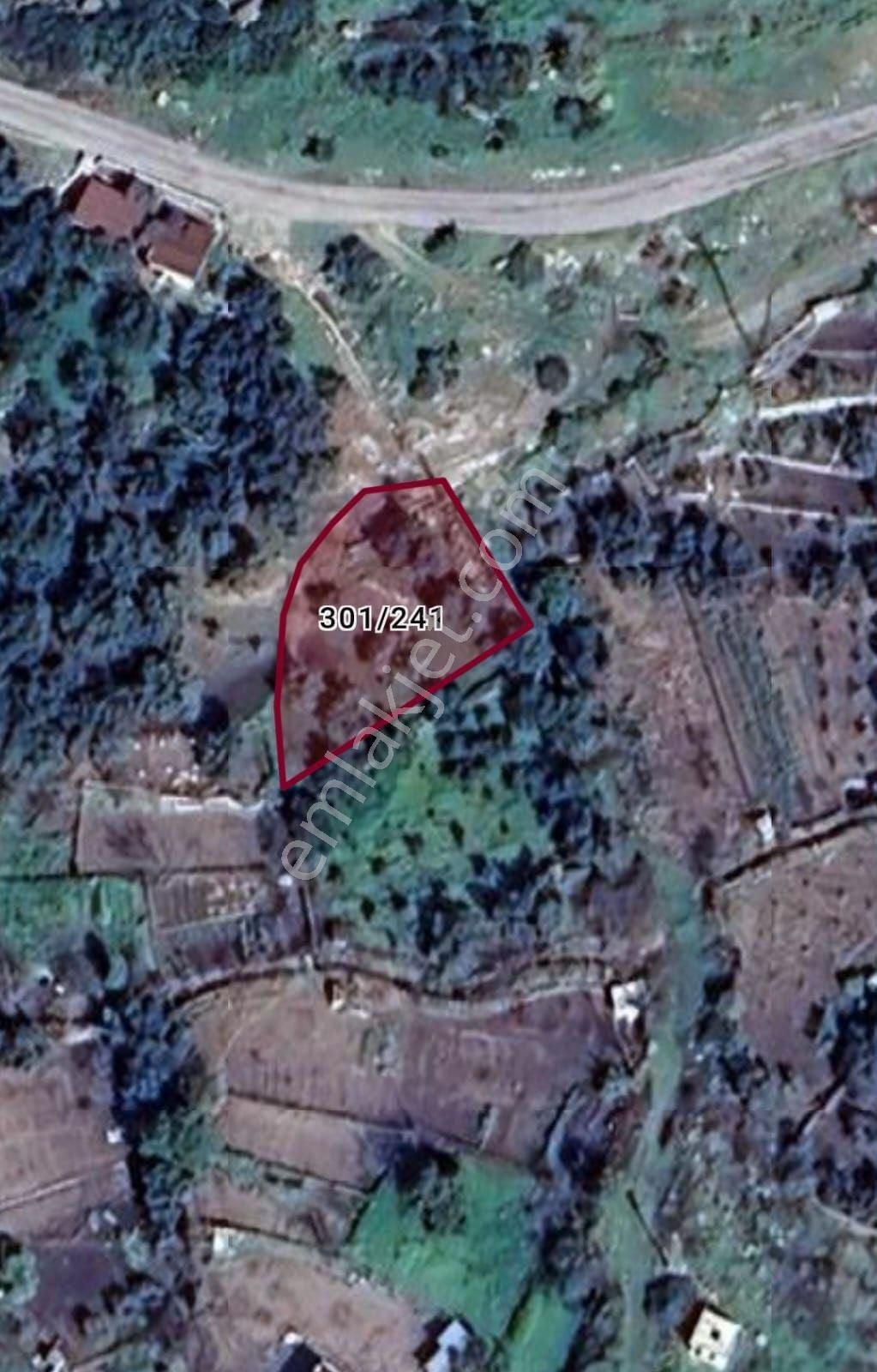 Dikili Ümmetoğlu'ndan Bademli Köyünde Yatırımlık Bahçe Nitekli 533 M2