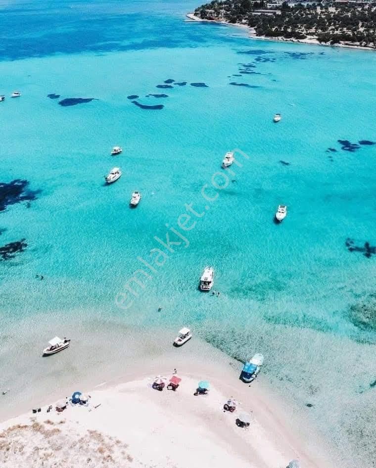 Dikili Ümmetoğlu'ndan 2.029 M2 Zeytinlik Tarla Yatırımlık - Görsel 13