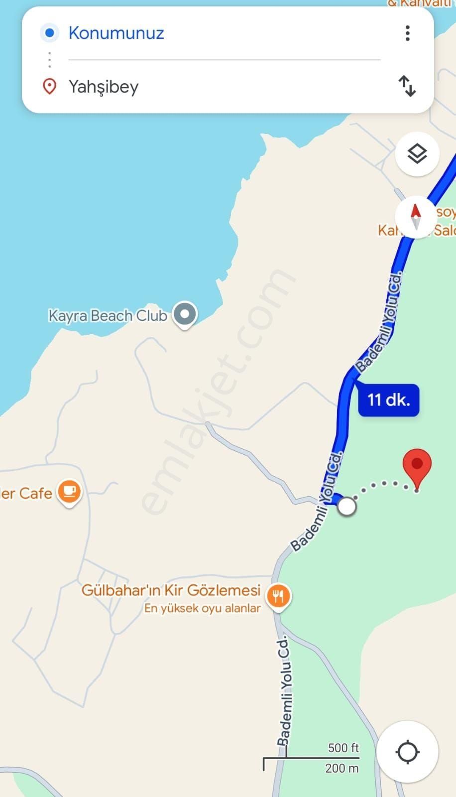 Dikili Ümmetoğlu'ndan 2.029 M2 Zeytinlik Tarla Yatırımlık - Görsel 8