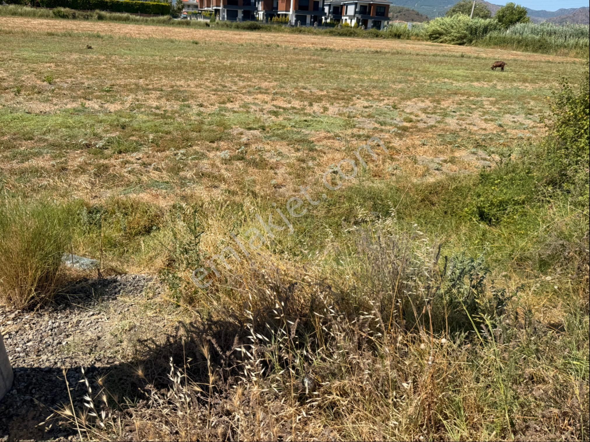 Söğütlüyurt'ta, %20 İmarlı, 3 Kat İzinli Satılık Arsa! - Görsel 5