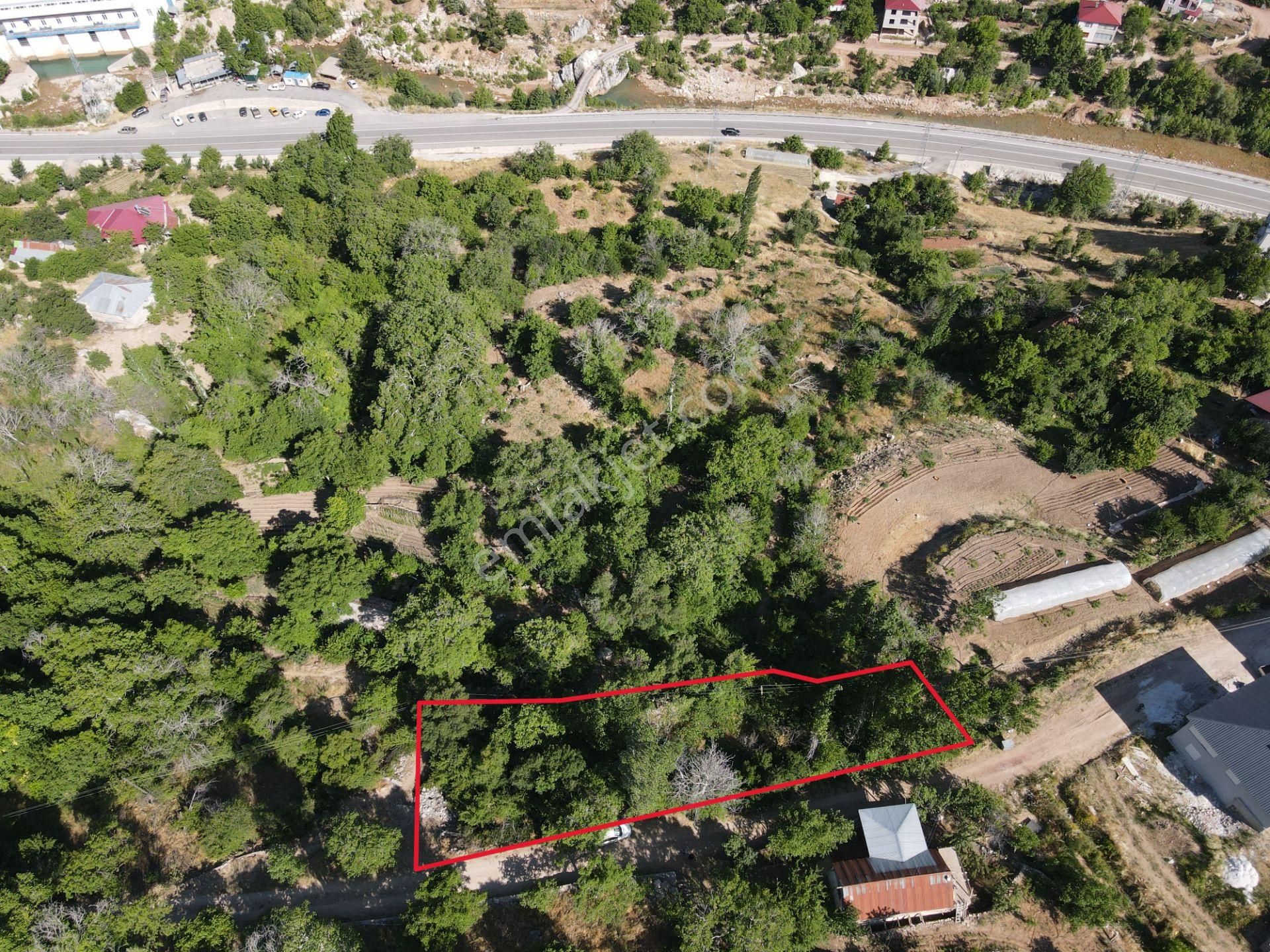 Çay Arası Yaylasında Satılık Tarla - Görsel 4