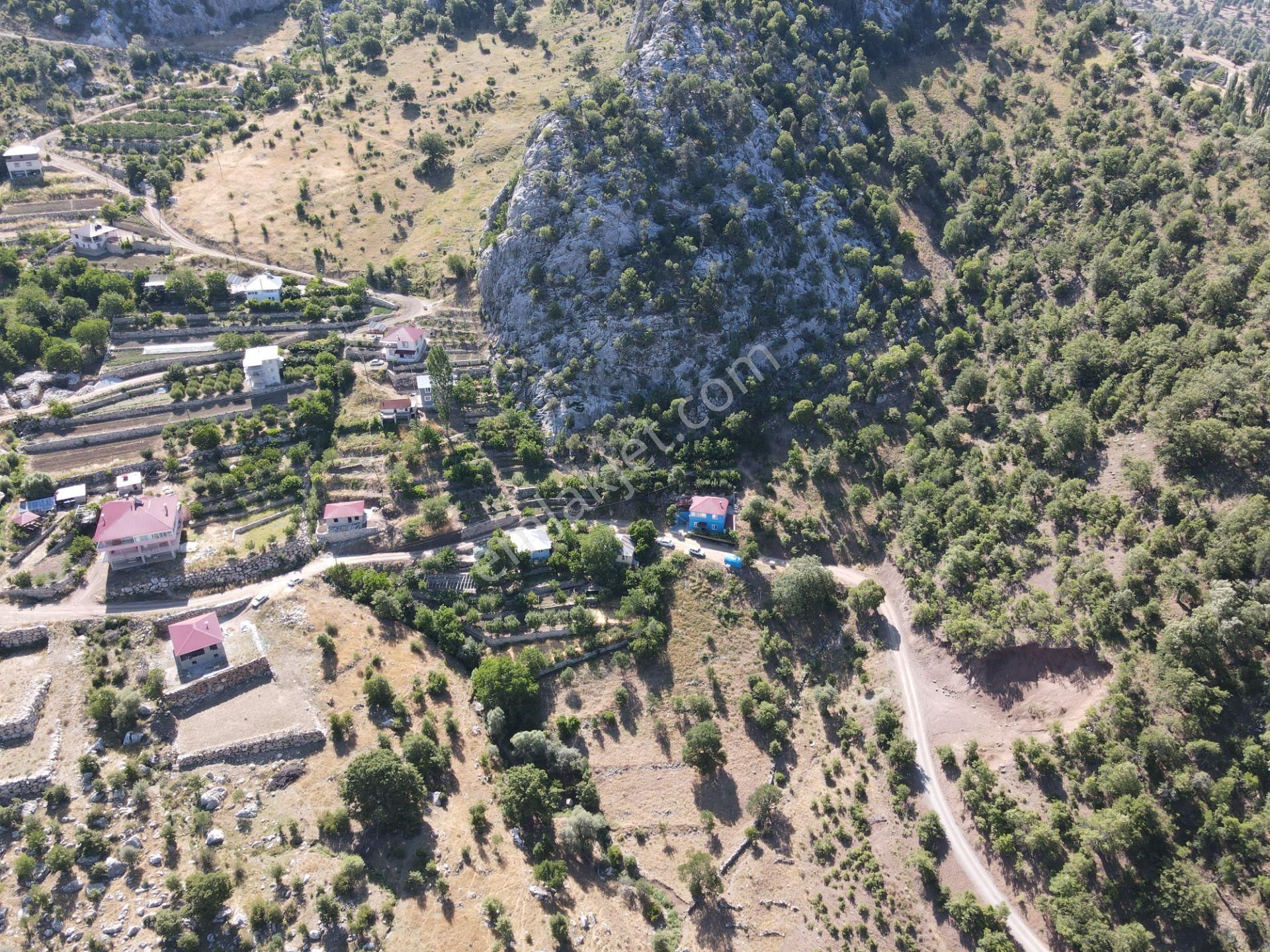 Çay Arası Yaylasında 2 Parsel Satılık Tarla - Görsel 2