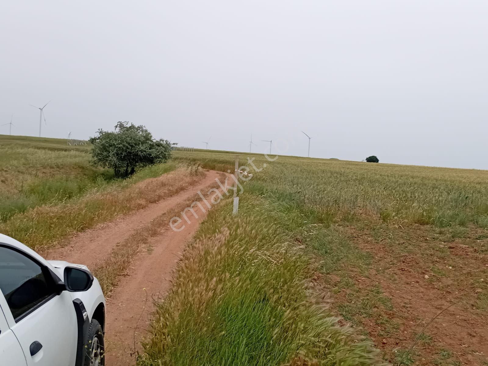 İstanbul Silivri Değirmenköy Sahibinden Satılık 256m2 Arsa - Görsel 31