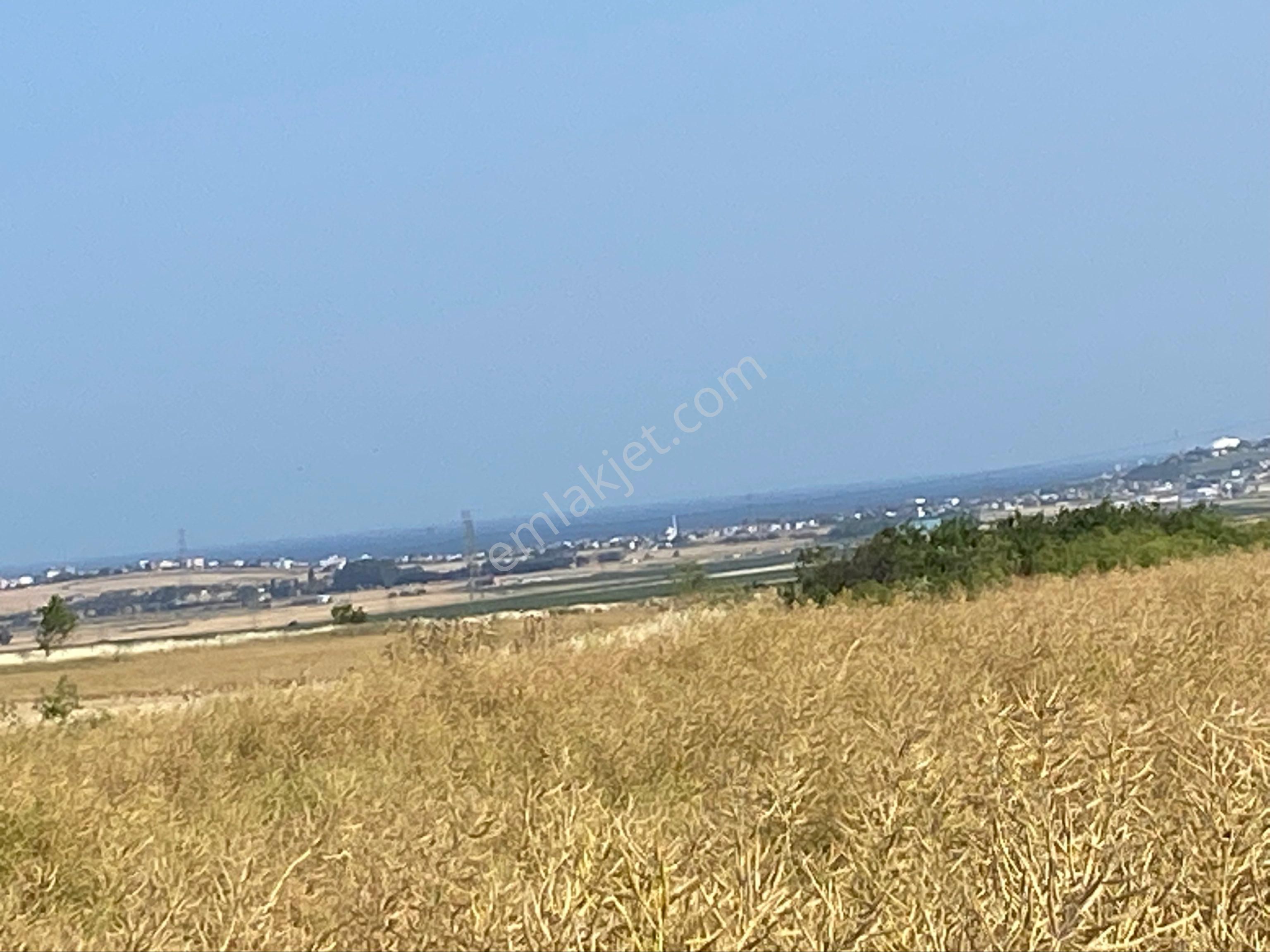 İstanbul Silivri Değirmenköy Sahibinden Satılık 256m2 Arsa