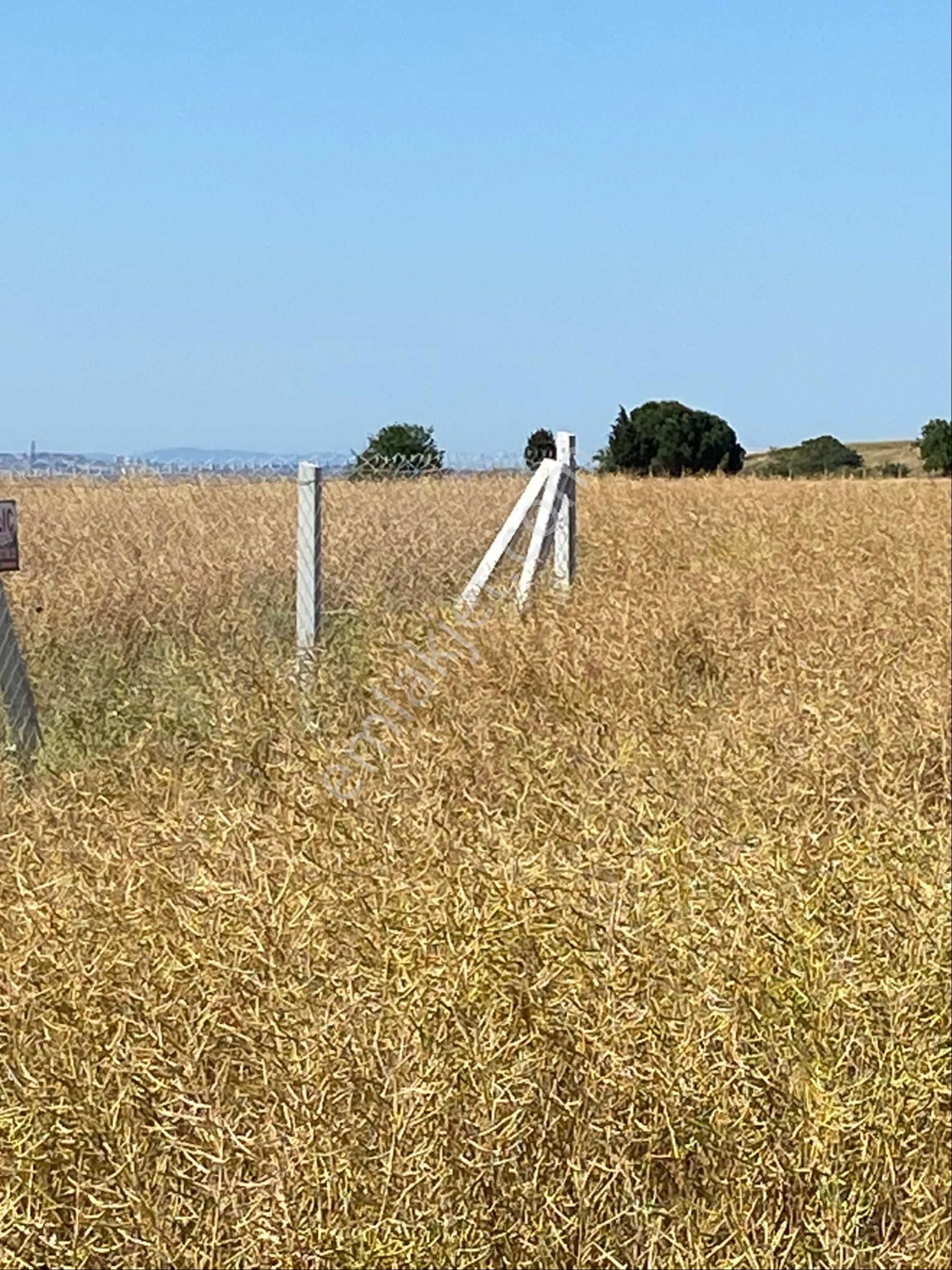 İstanbul Silivri Değirmenköy Sahibinden Satılık 256m2 Arsa - Görsel 15