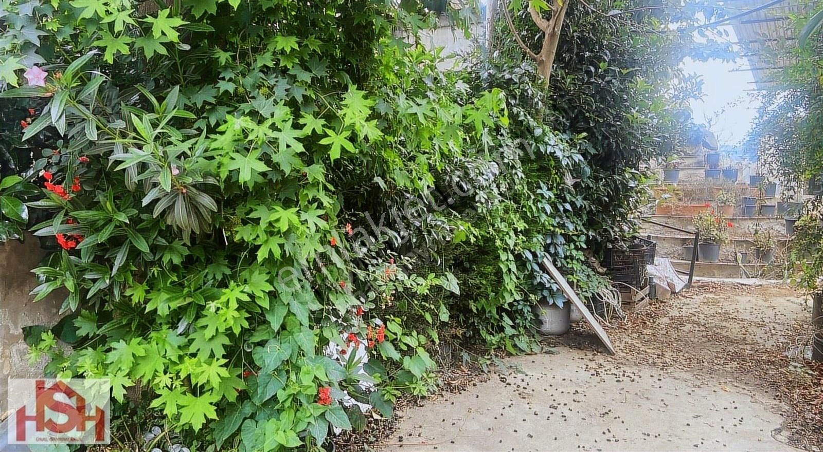 Demircili Mah. 6,000 M2 Kiralık Restorant Alabalık Çiftliği